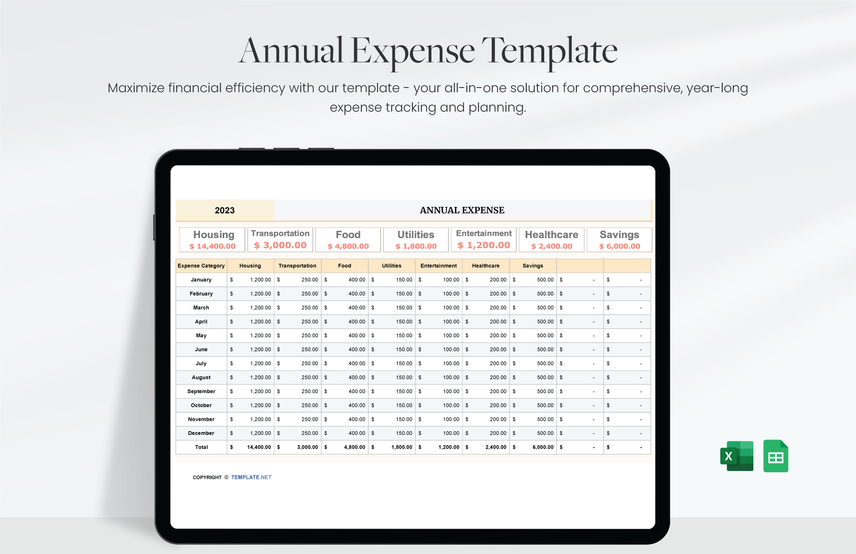 Annual Expense Template