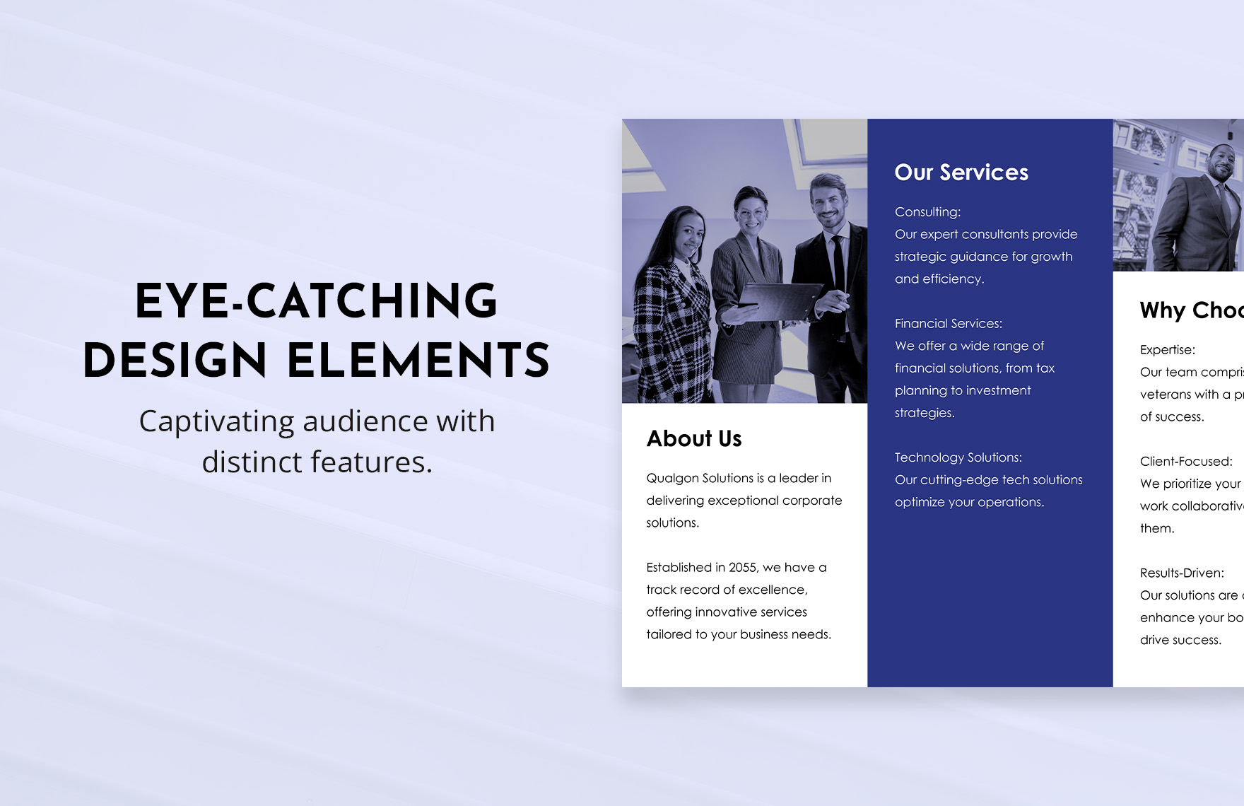 Professional Trifold Template