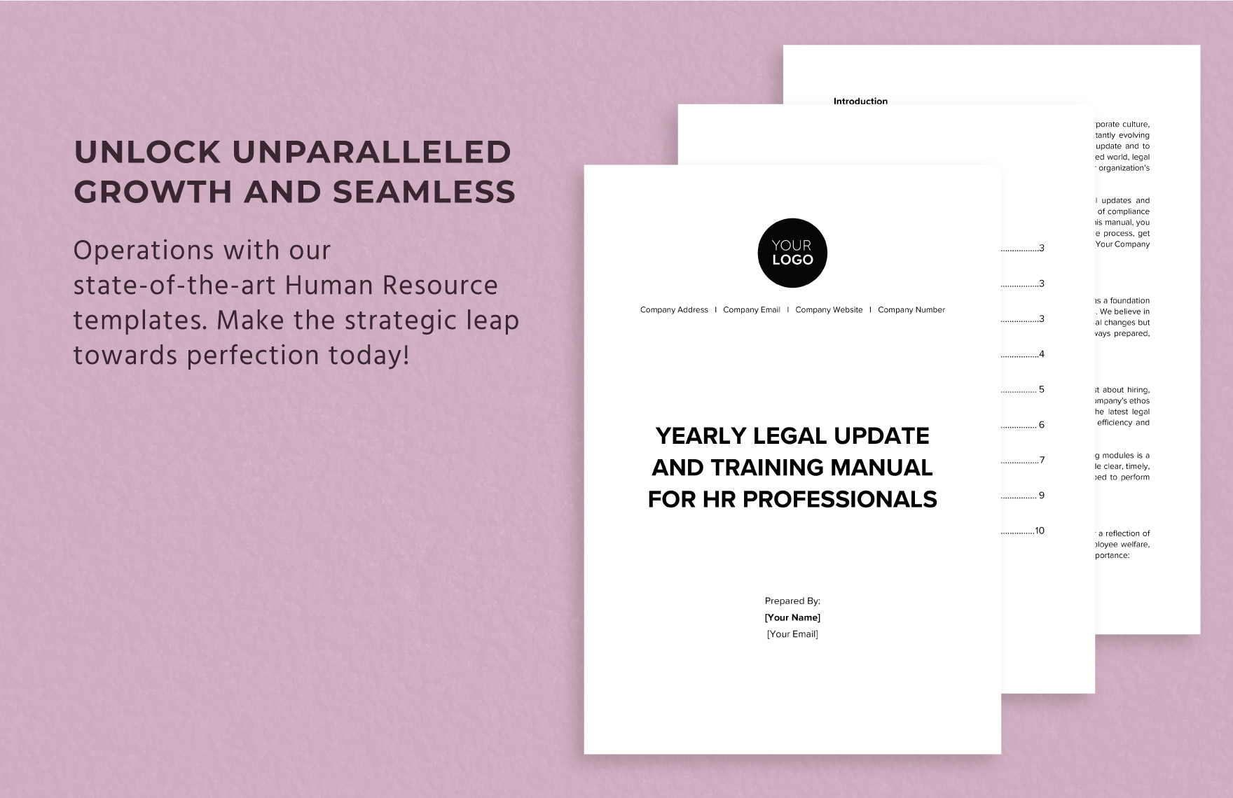 Yearly Legal Update and Training Manual for HR Professionals Template