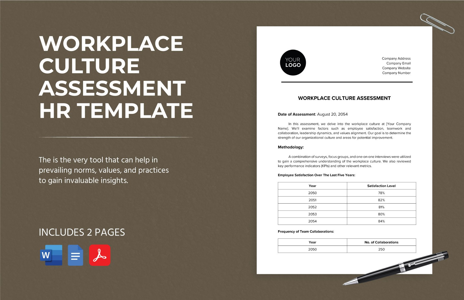 Workplace Culture Assessment HR Template