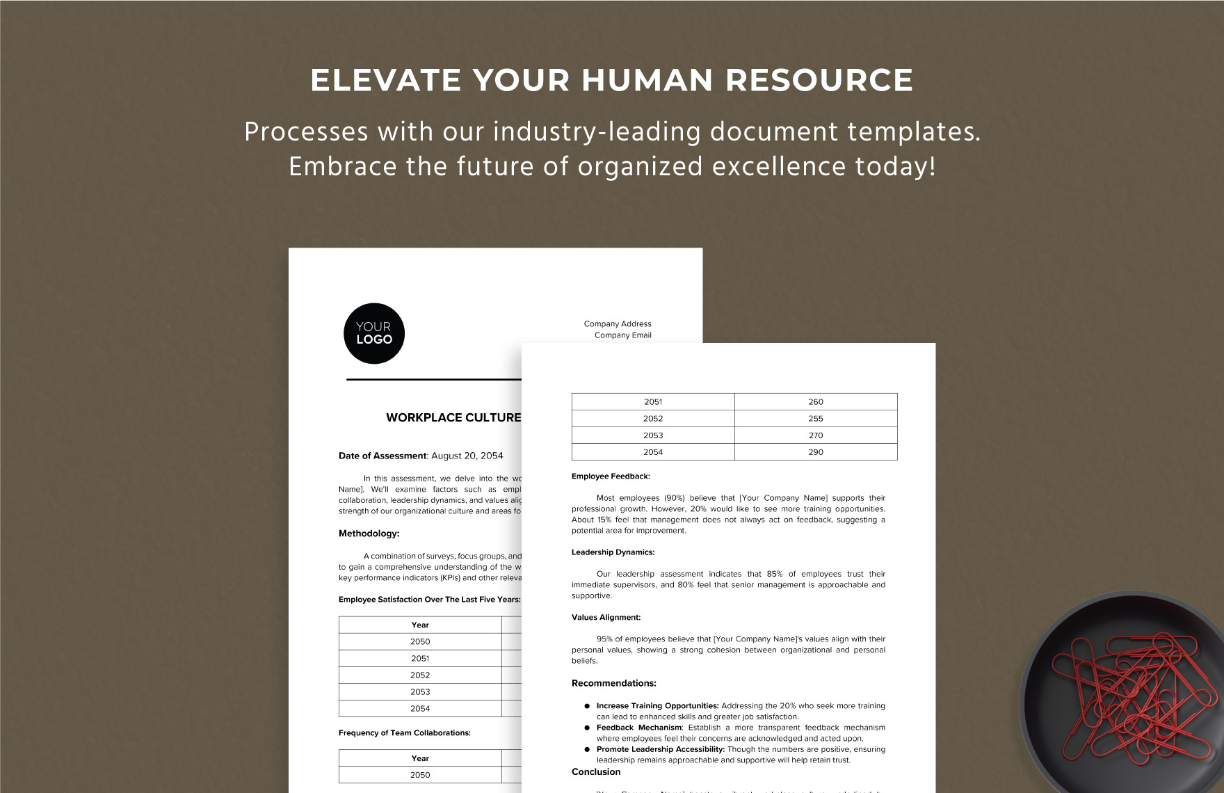 Workplace Culture Assessment HR Template