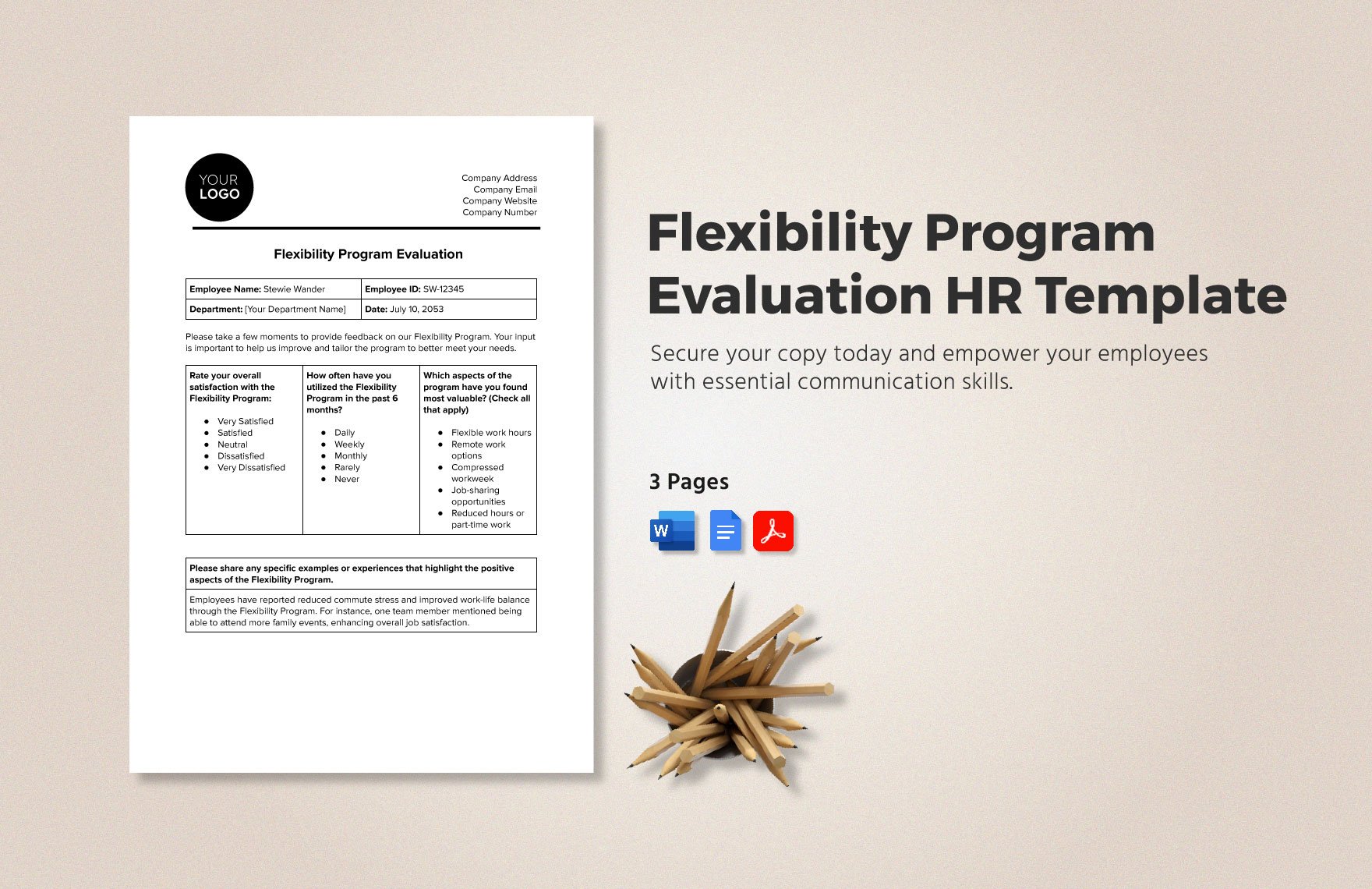 Flexibility Program Evaluation HR Template
