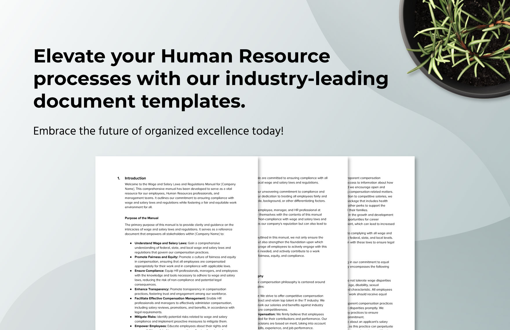 Wage and Salary Laws and Regulations Manual HR Template