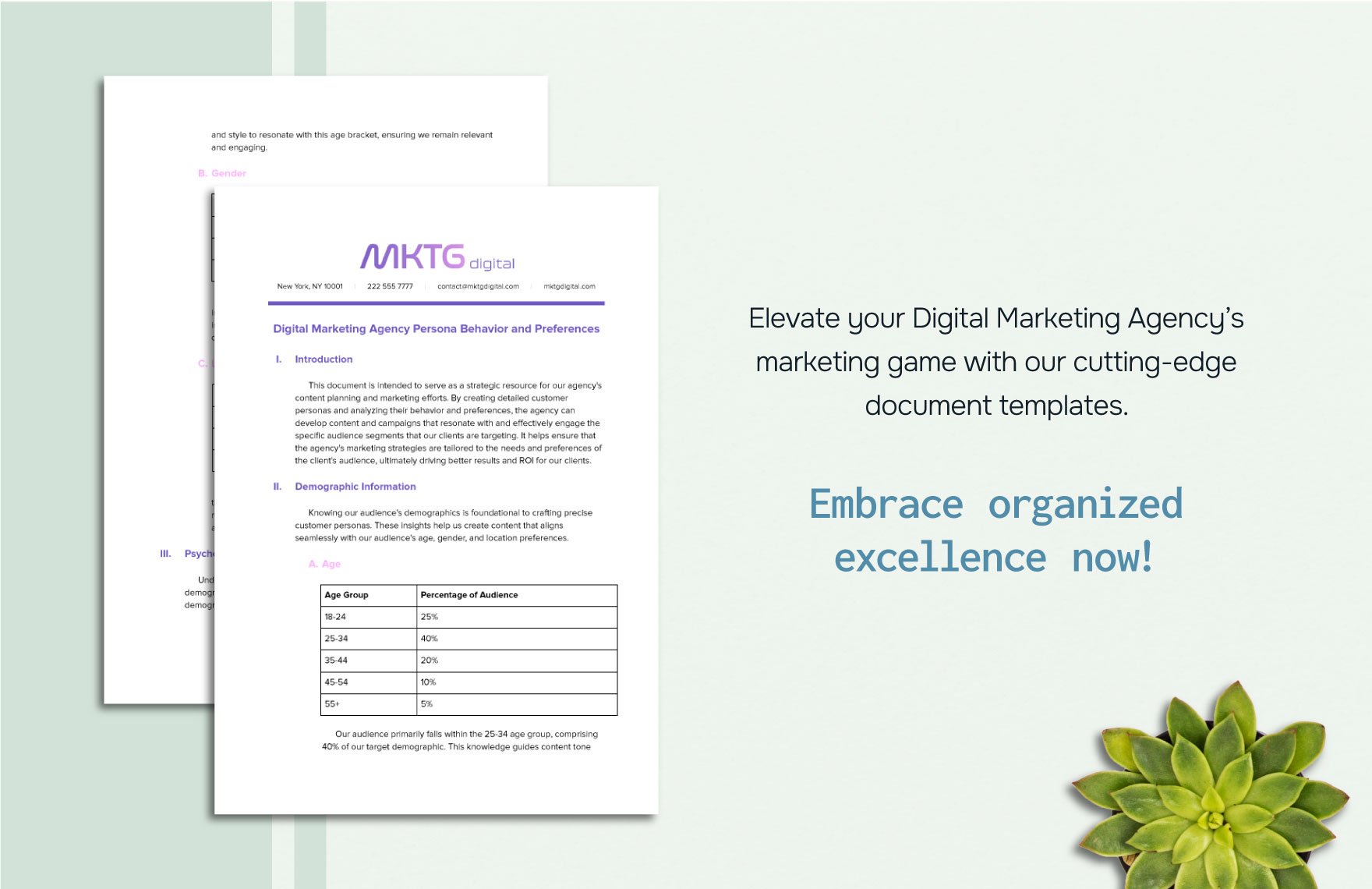 Digital Marketing Agency Persona Behavior and Preferences Template
