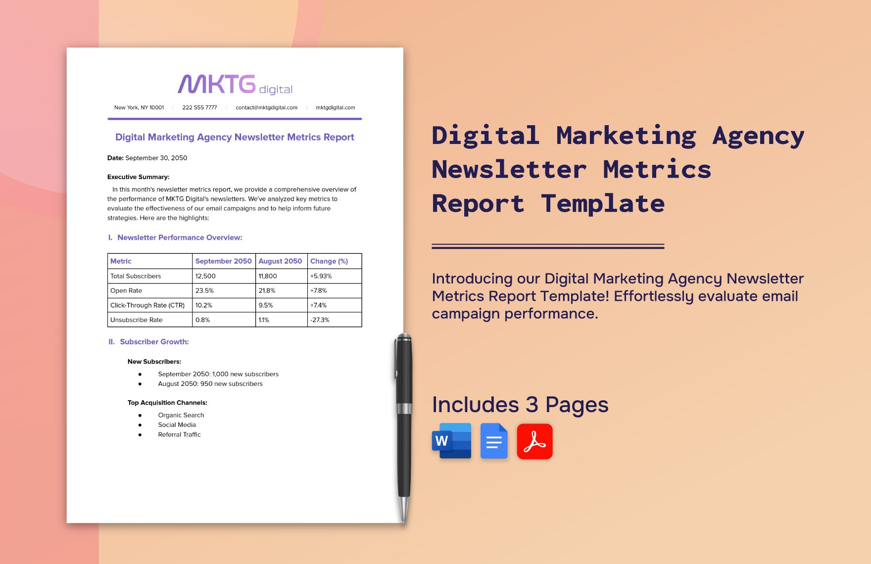Digital Marketing Agency Newsletter Metrics Report Template in Word, Google Docs, PDF