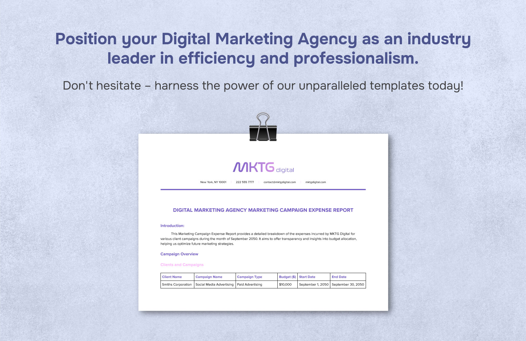 Digital Marketing Agency Marketing Campaign Expense Report Template