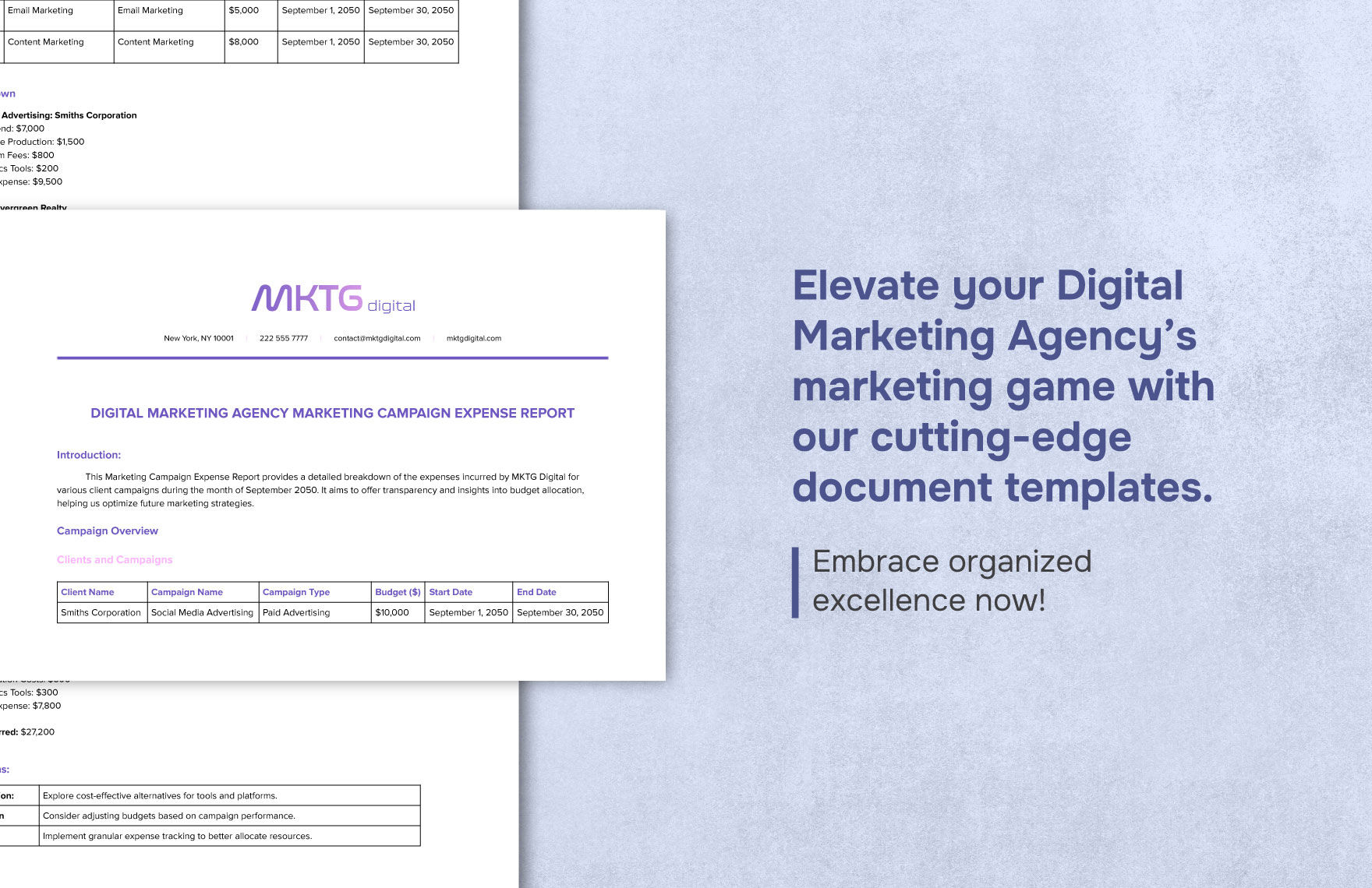 Digital Marketing Agency Marketing Campaign Expense Report Template