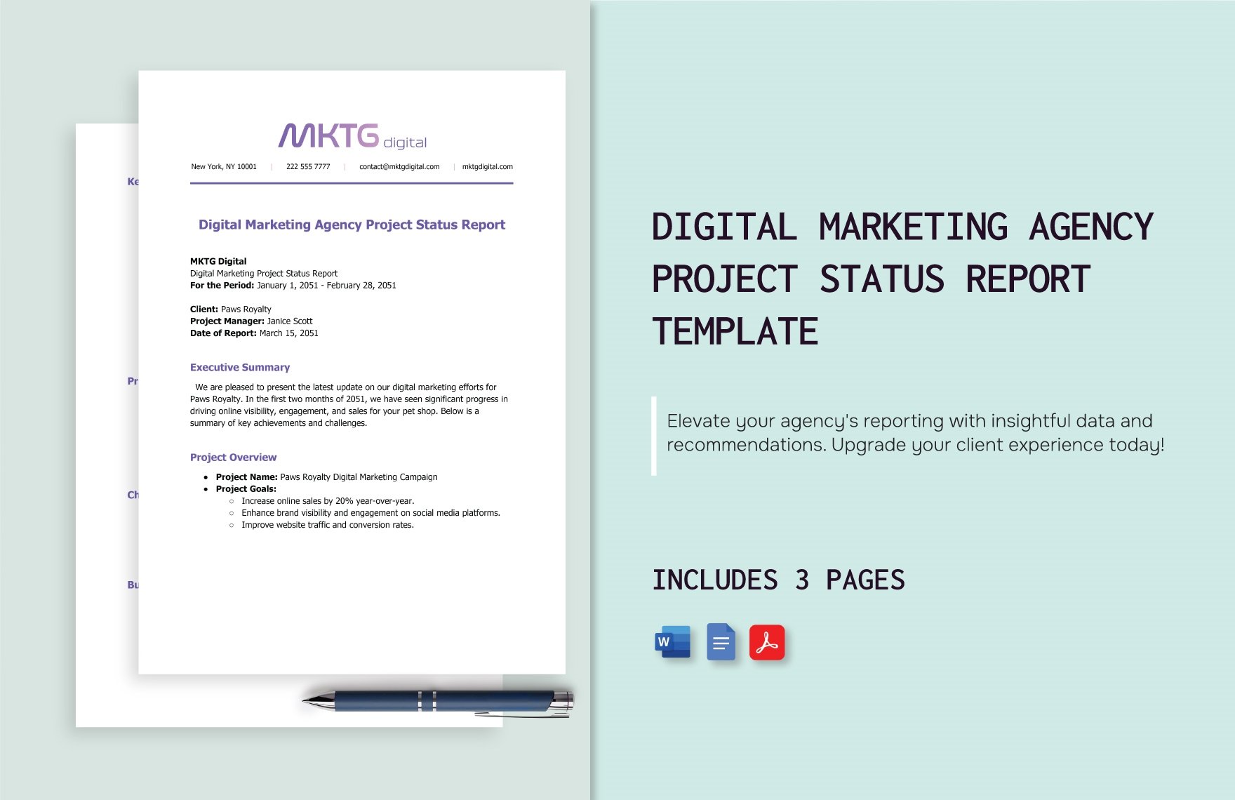 Digital Marketing Agency Project Status Report Template in Word, Google Docs, PDF