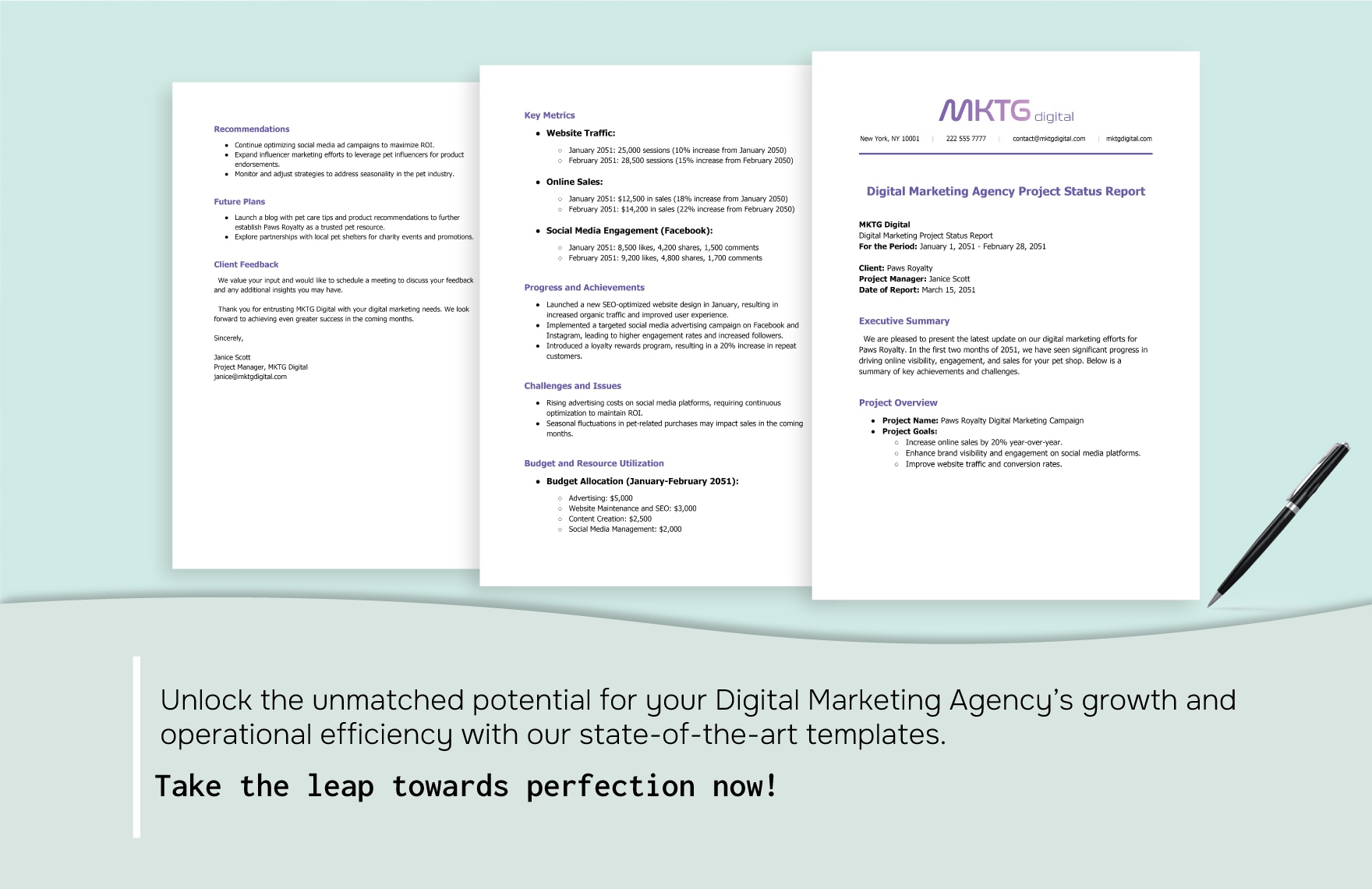 Digital Marketing Agency Project Status Report Template