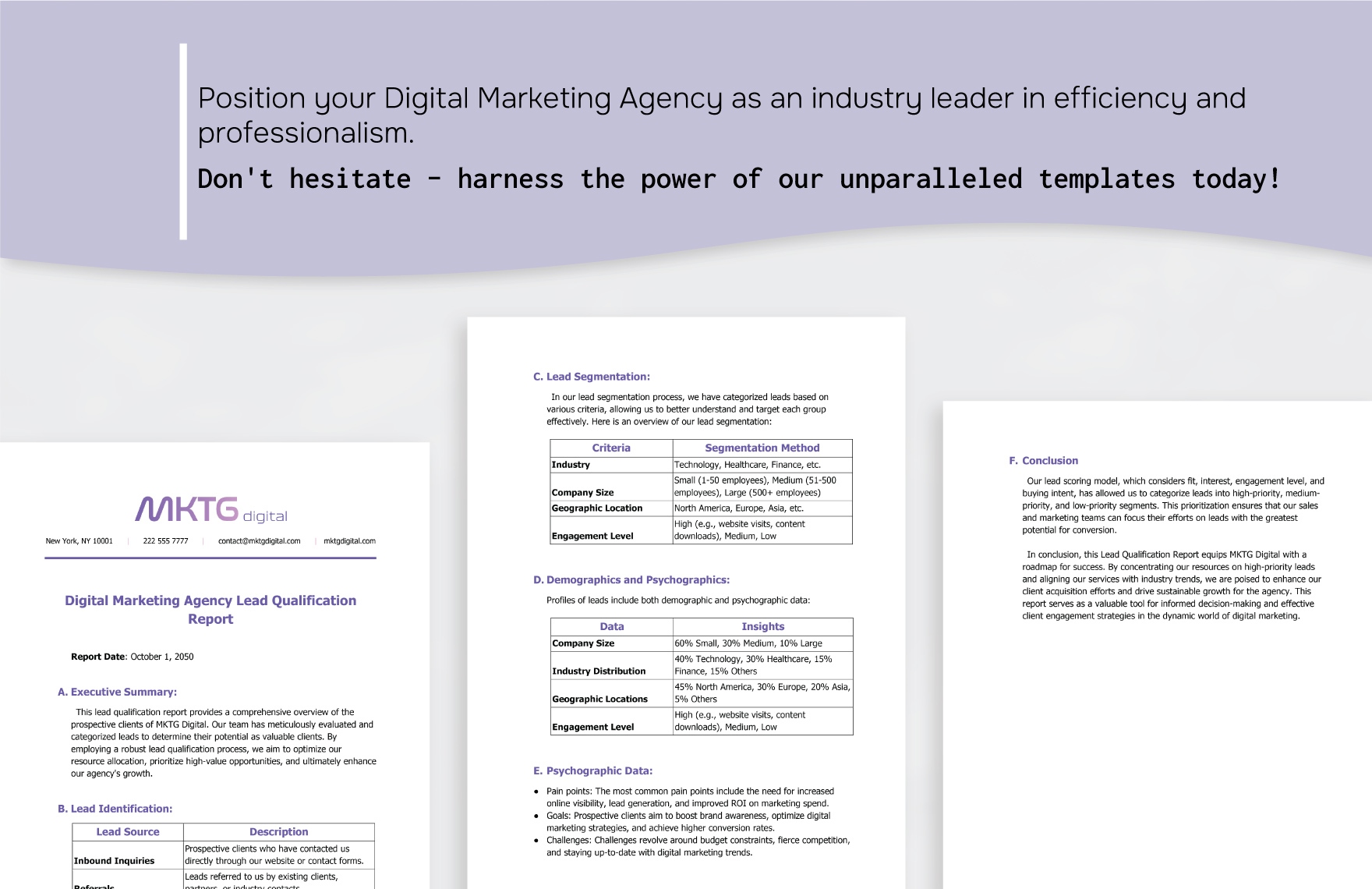 Digital Marketing Agency Lead Qualification Report Template