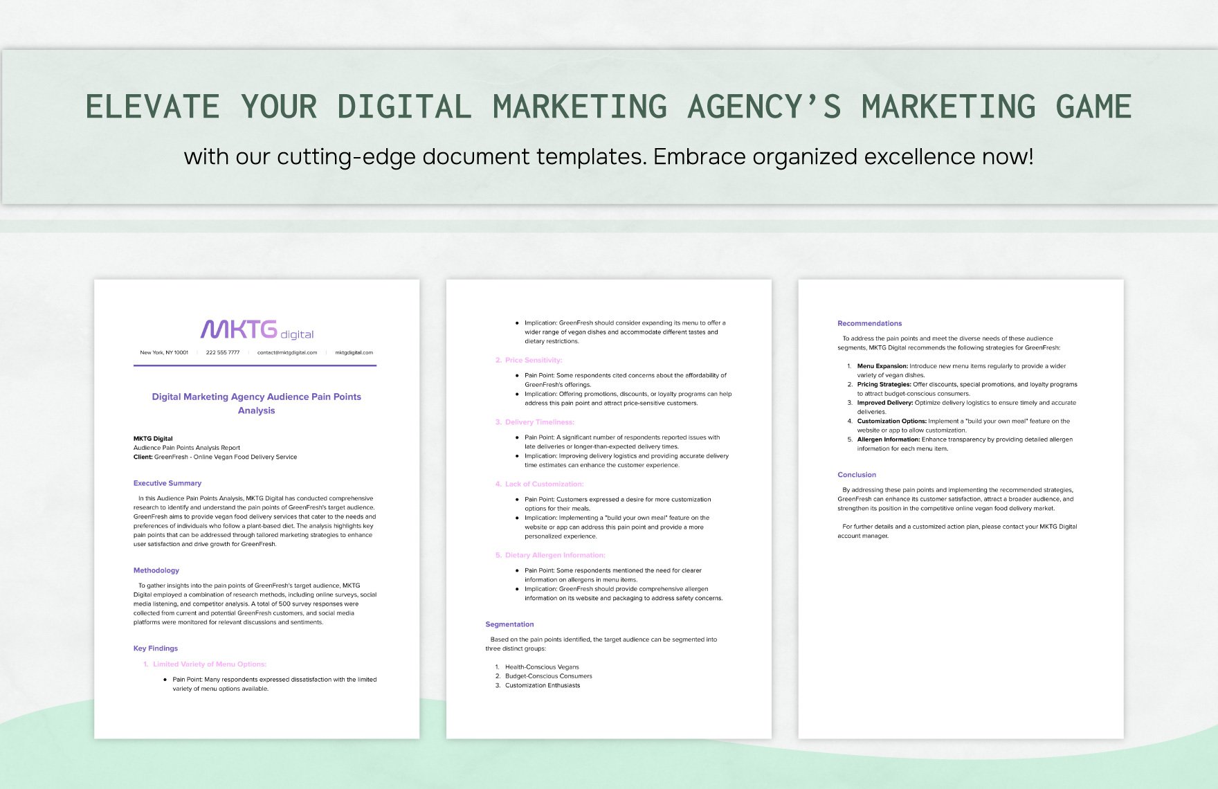 Digital Marketing Agency Audience Pain Points Analysis Template