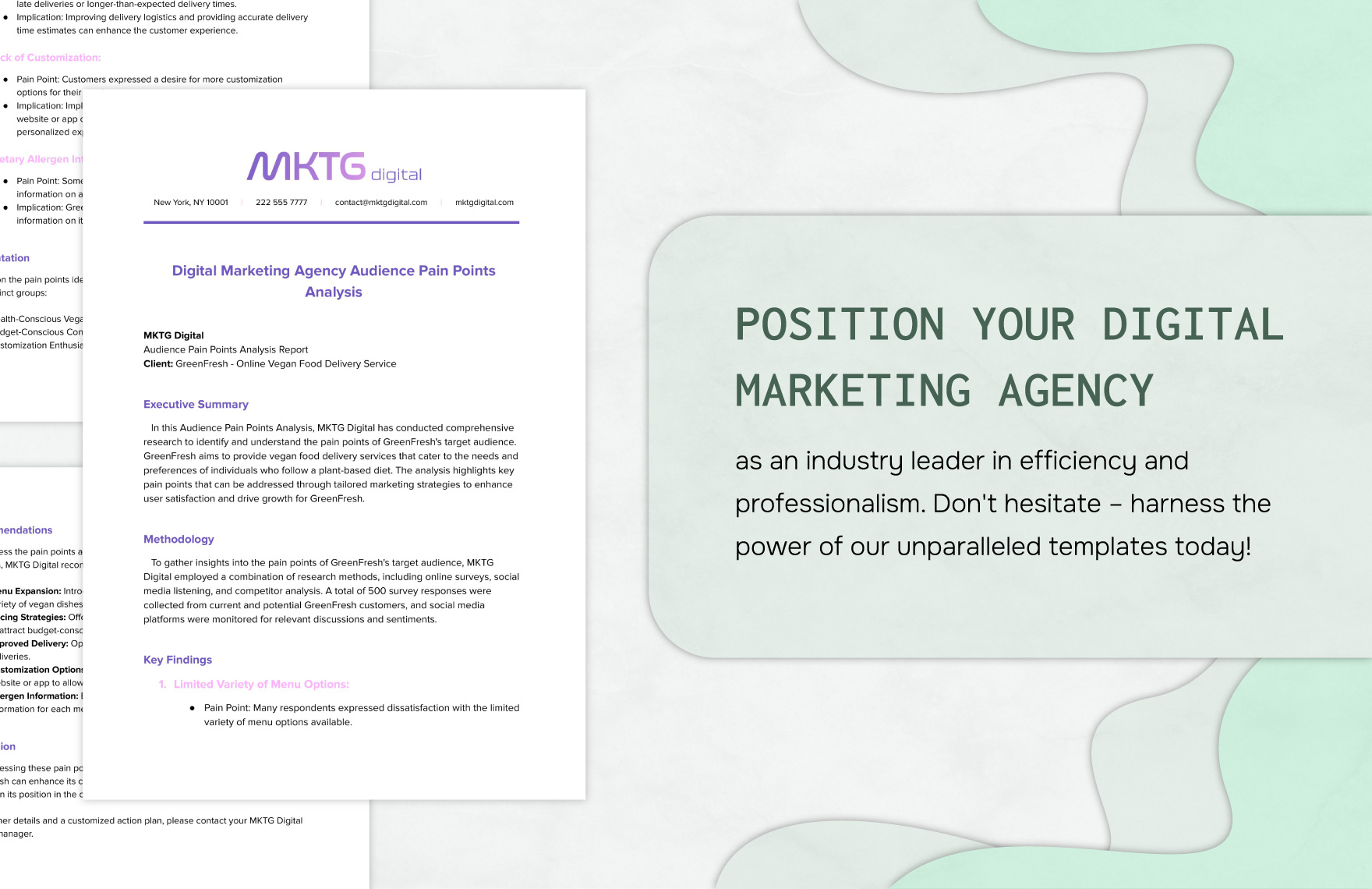 Digital Marketing Agency Audience Pain Points Analysis Template