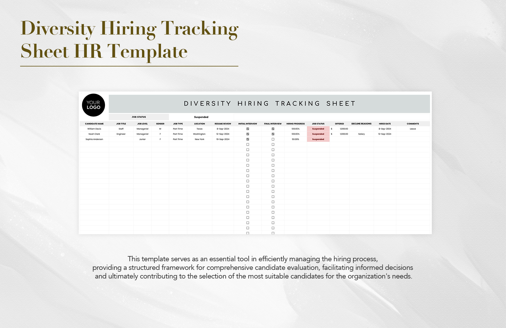 Diversity Hiring Tracking Sheet HR Template