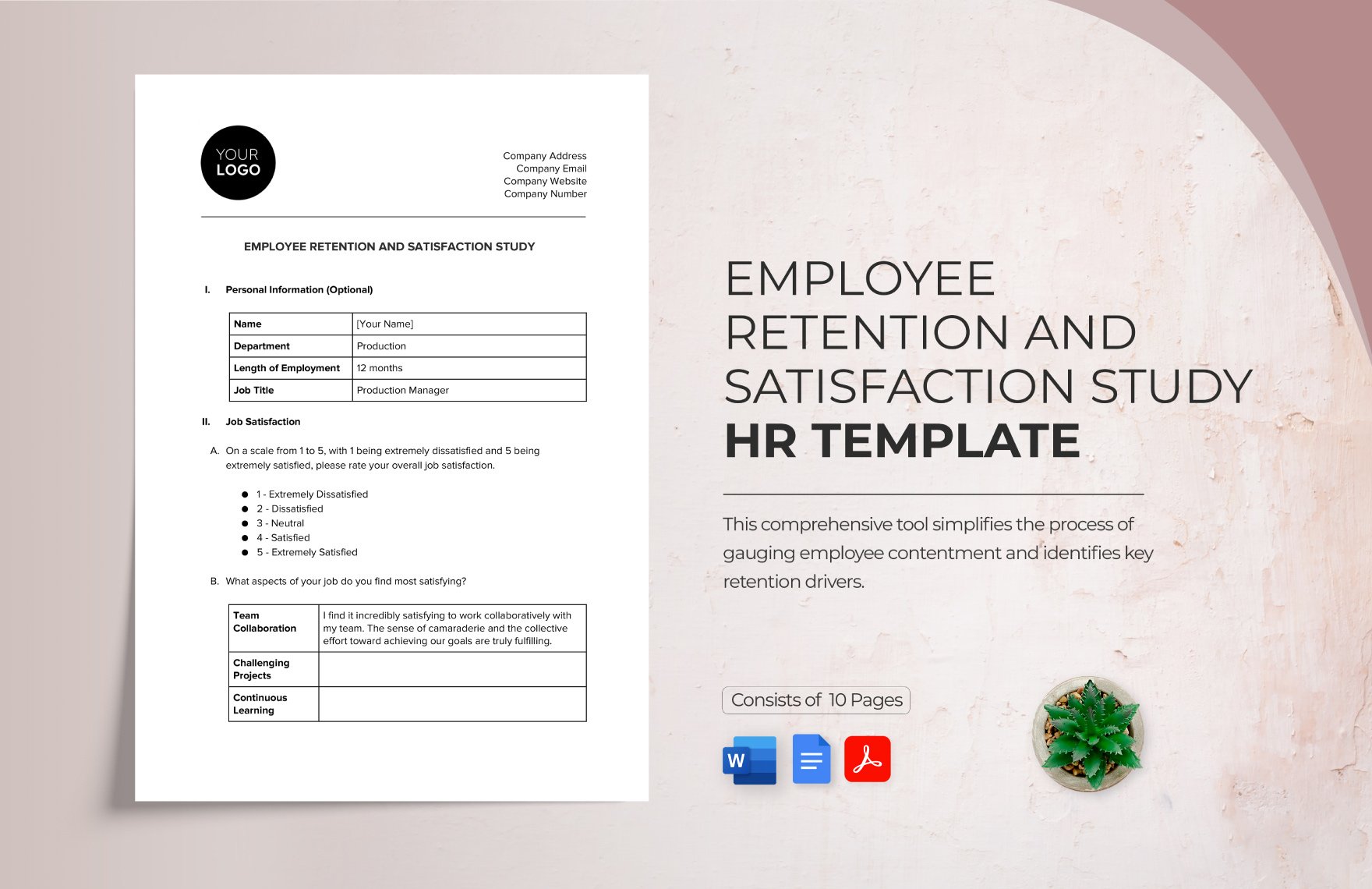 Employee Retention and Satisfaction Study HR Template in Word, Google Docs, PDF