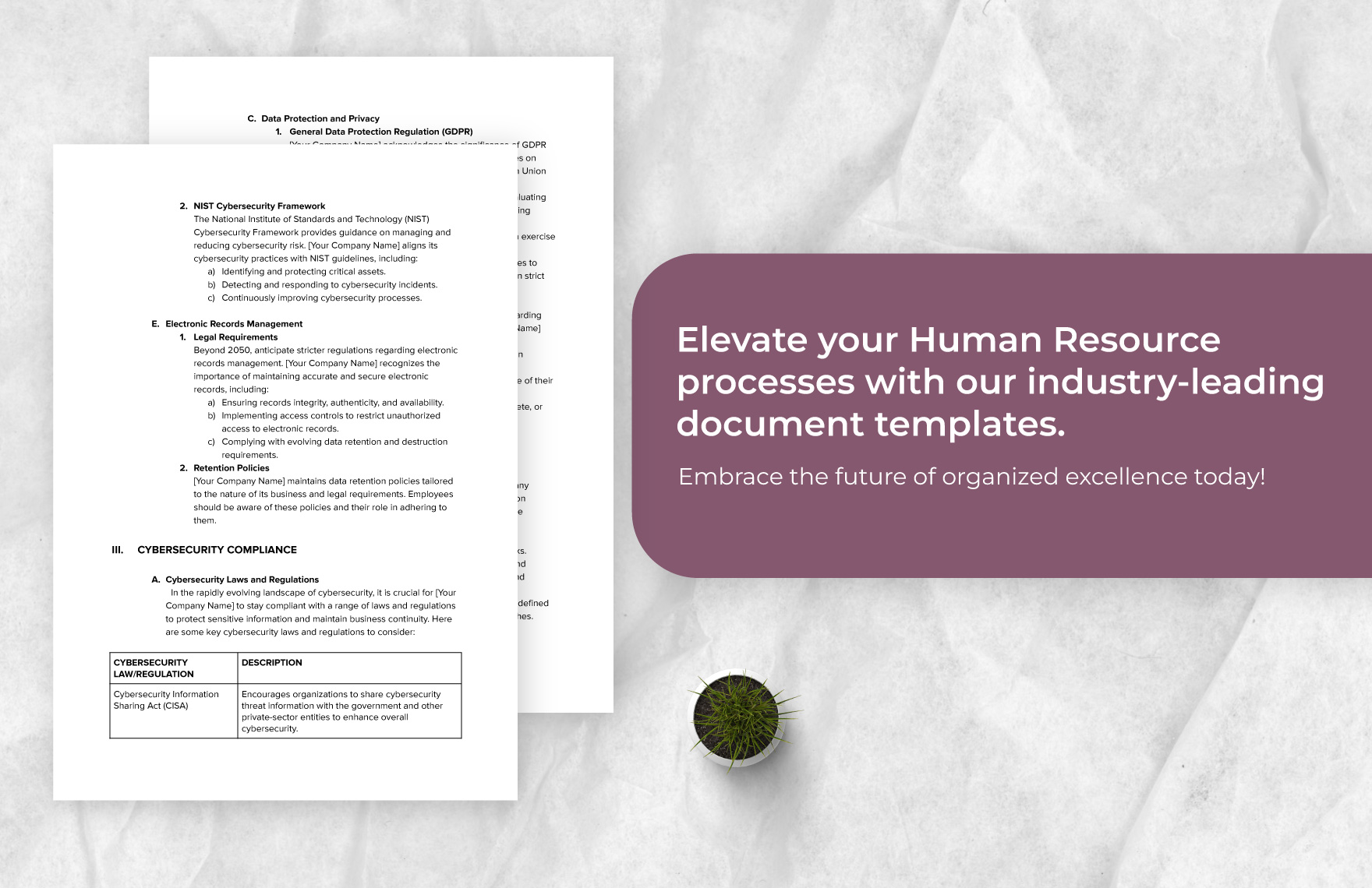IT, Cybersecurity, and HR: Legal Compliance Manual Template