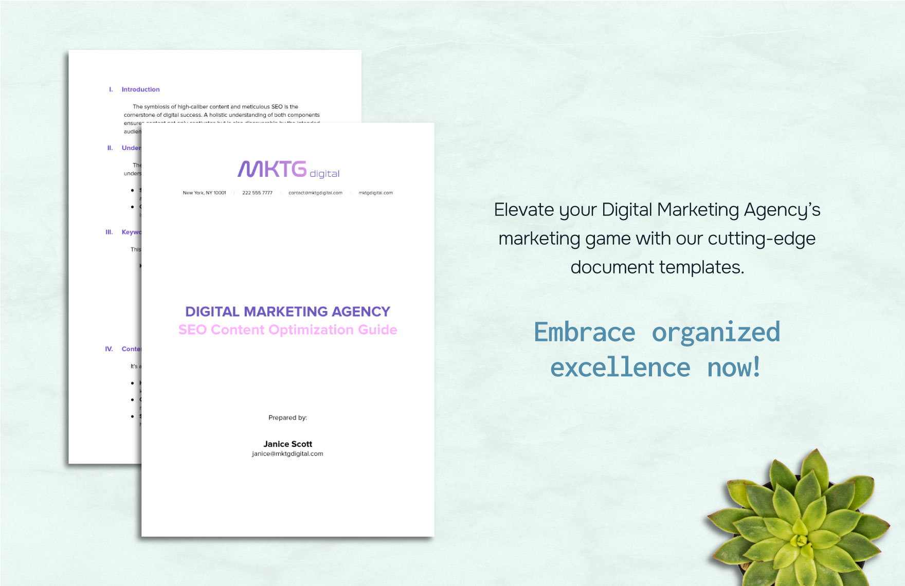 Digital Marketing Agency SEO Content Optimization Guide Template