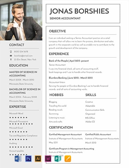 Professional Banking Resume Template - Illustrator, InDesign, Word, Apple Pages, PSD, Publisher