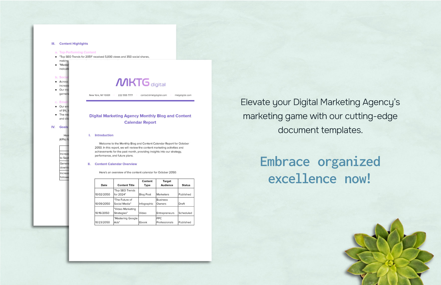 Digital Marketing Agency Monthly Blog and Content Calendar Report Template