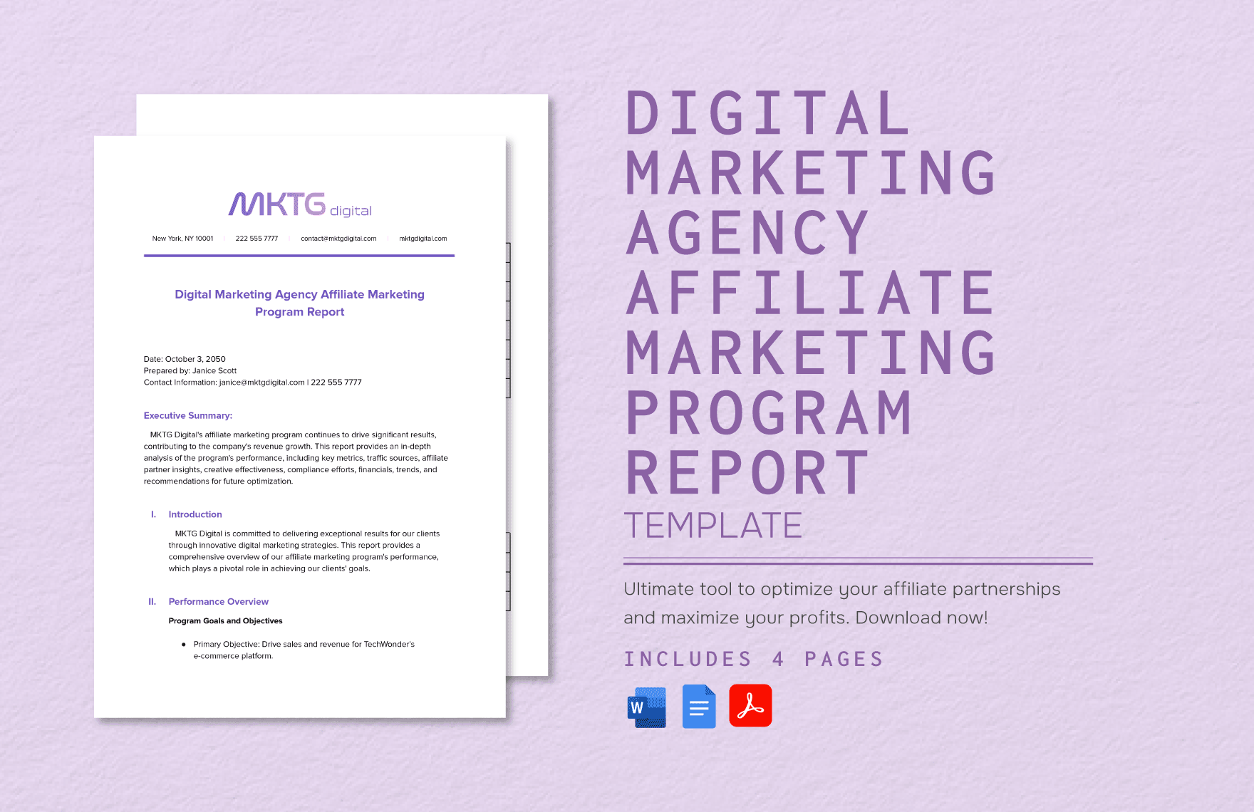 Digital Marketing Agency Affiliate Marketing Program Report Template