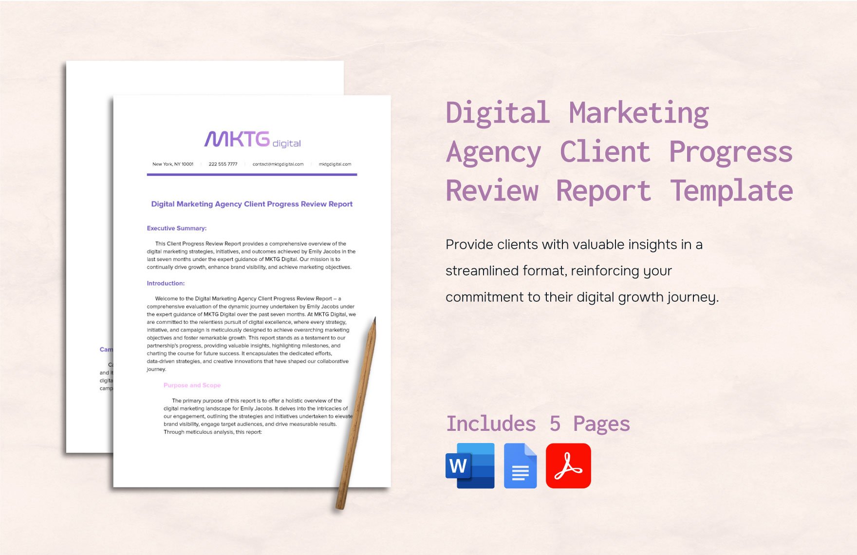 Digital Marketing Agency Client Progress Review Report Template
