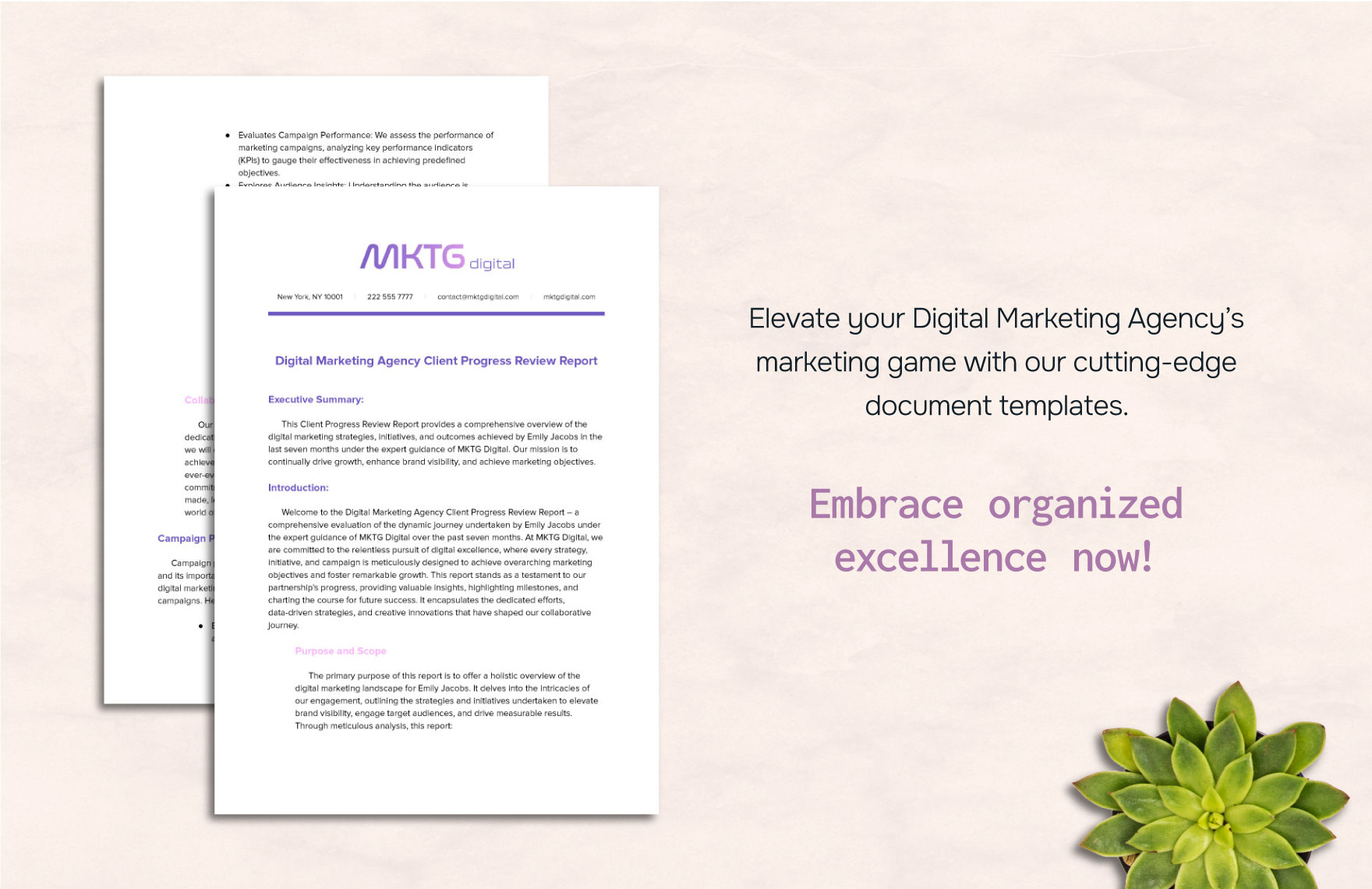 Digital Marketing Agency Client Progress Review Report Template
