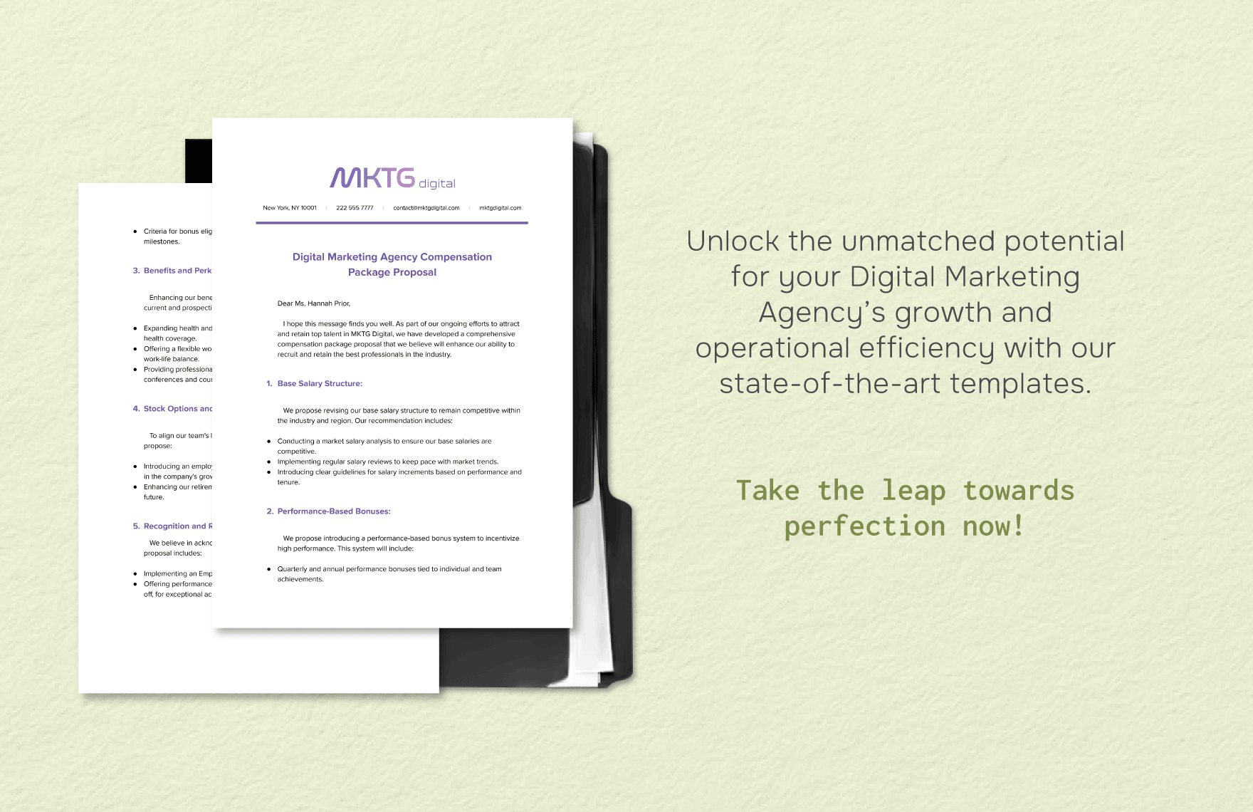 Digital Marketing Agency Compensation Package Proposal HR Template