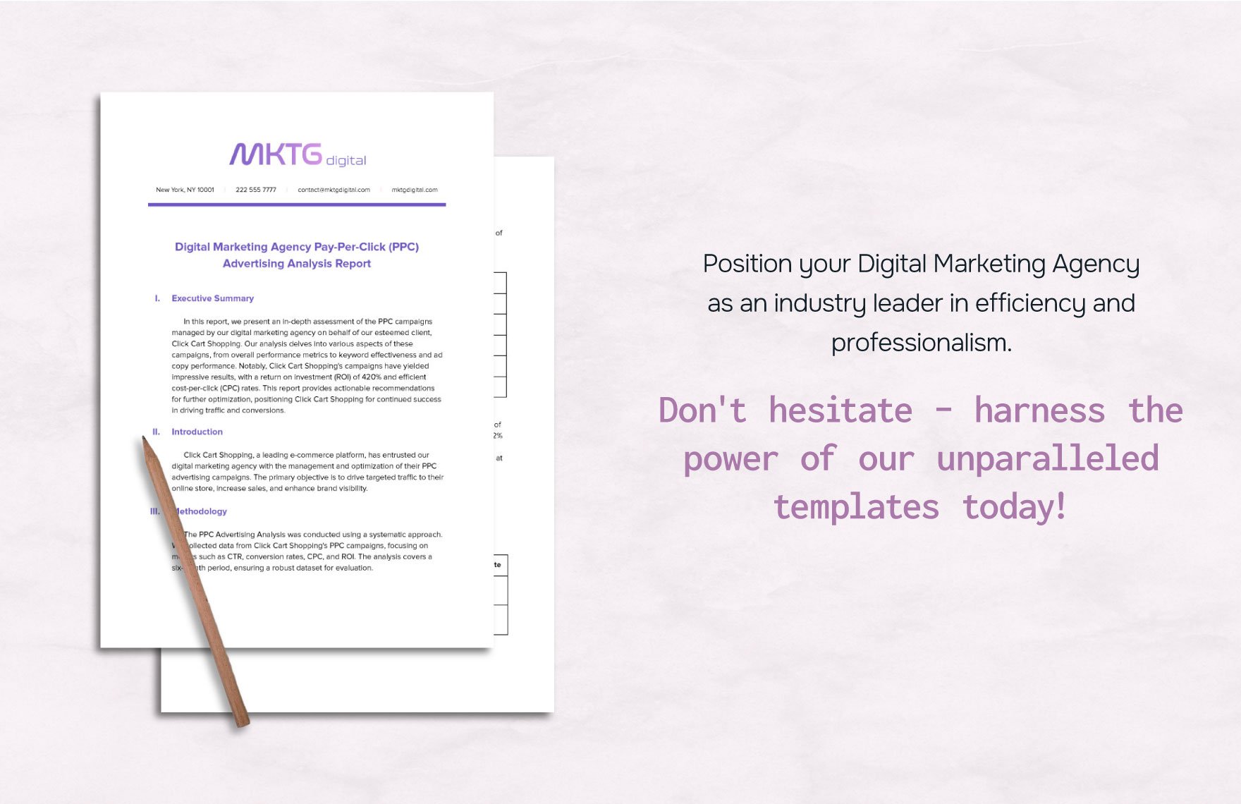 Digital Marketing Agency Pay-Per-Click (PPC) Advertising Analysis Report Template