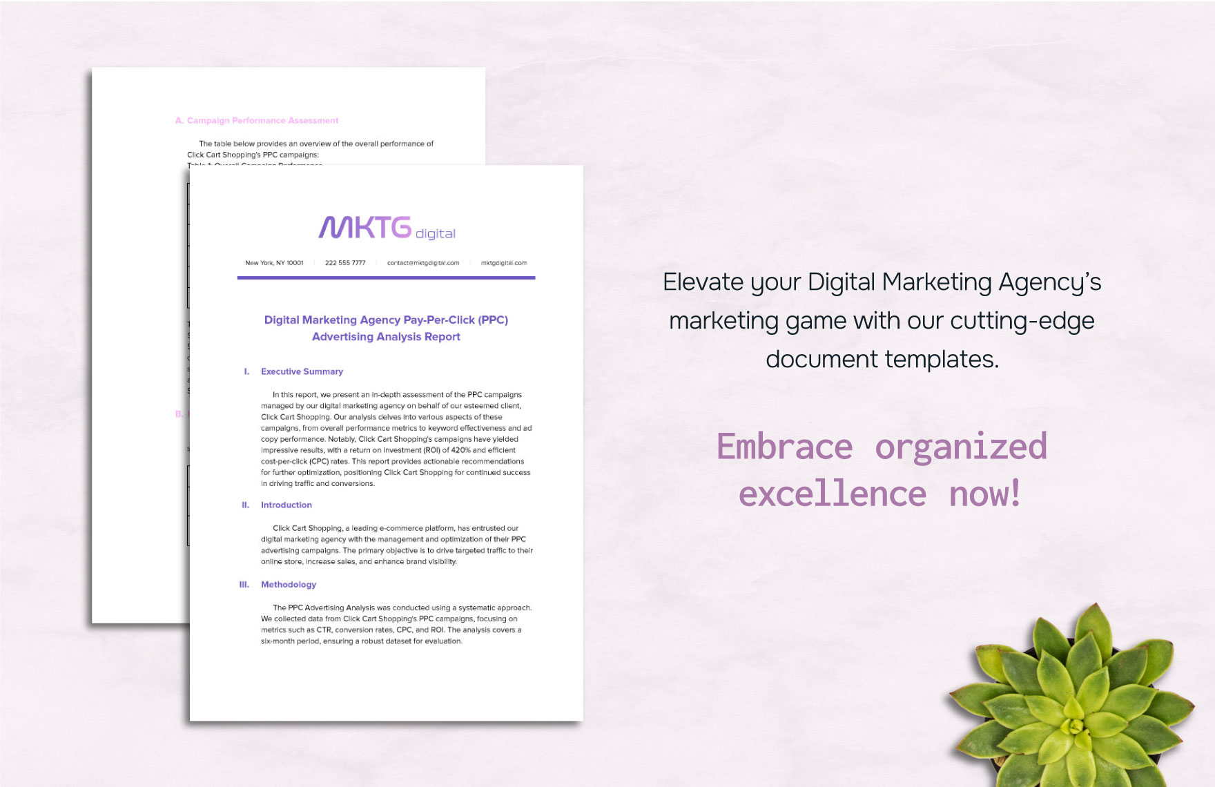 Digital Marketing Agency Pay-Per-Click (PPC) Advertising Analysis Report Template