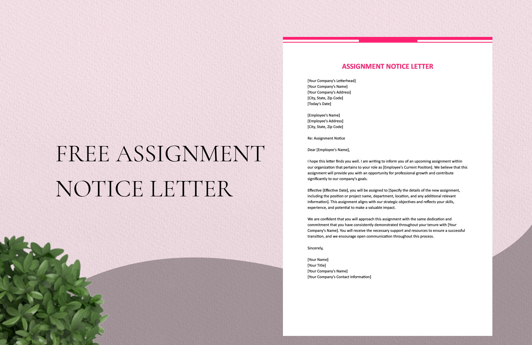 Assignment Notice Letter