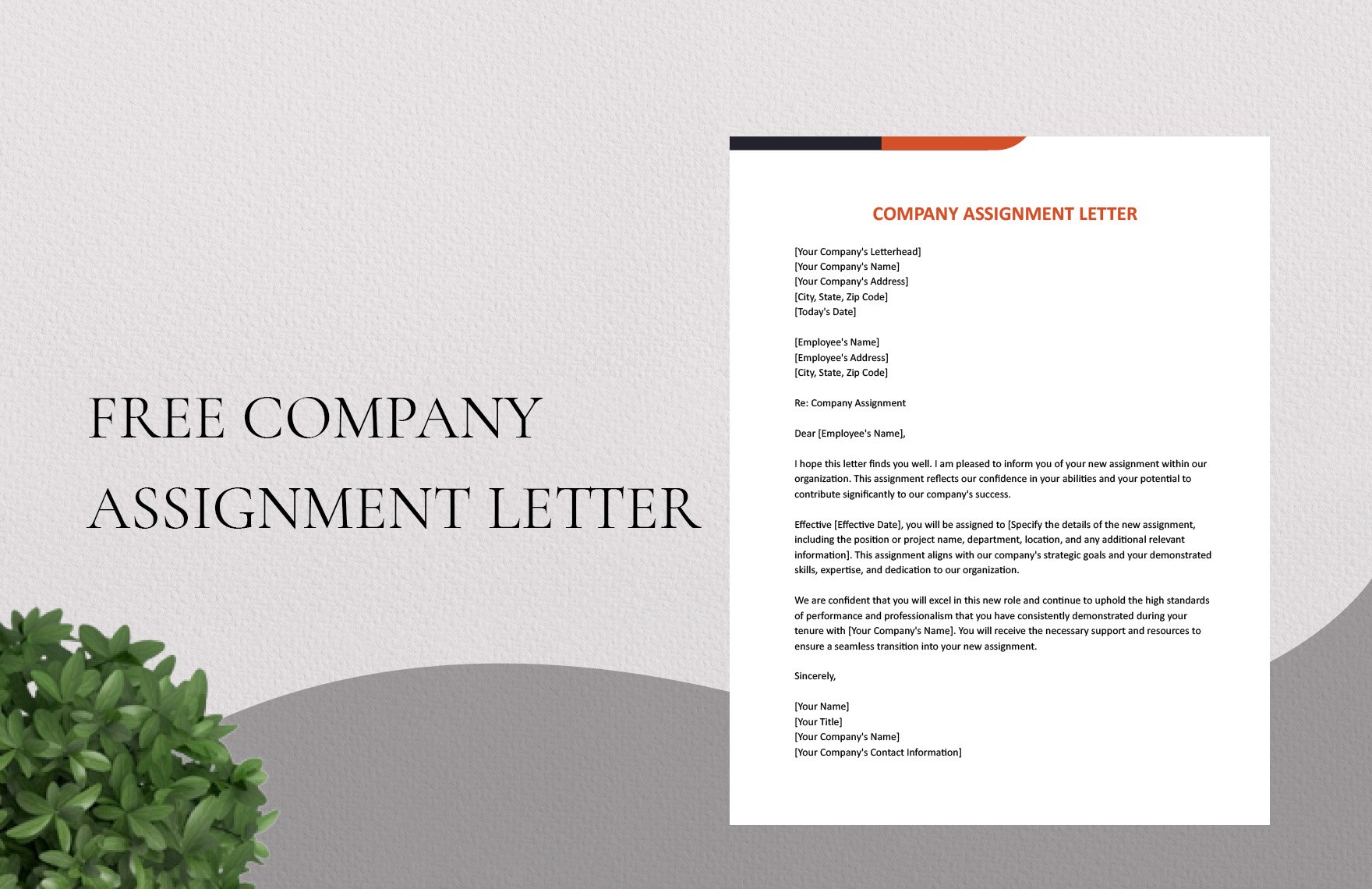 letter of assignment media template