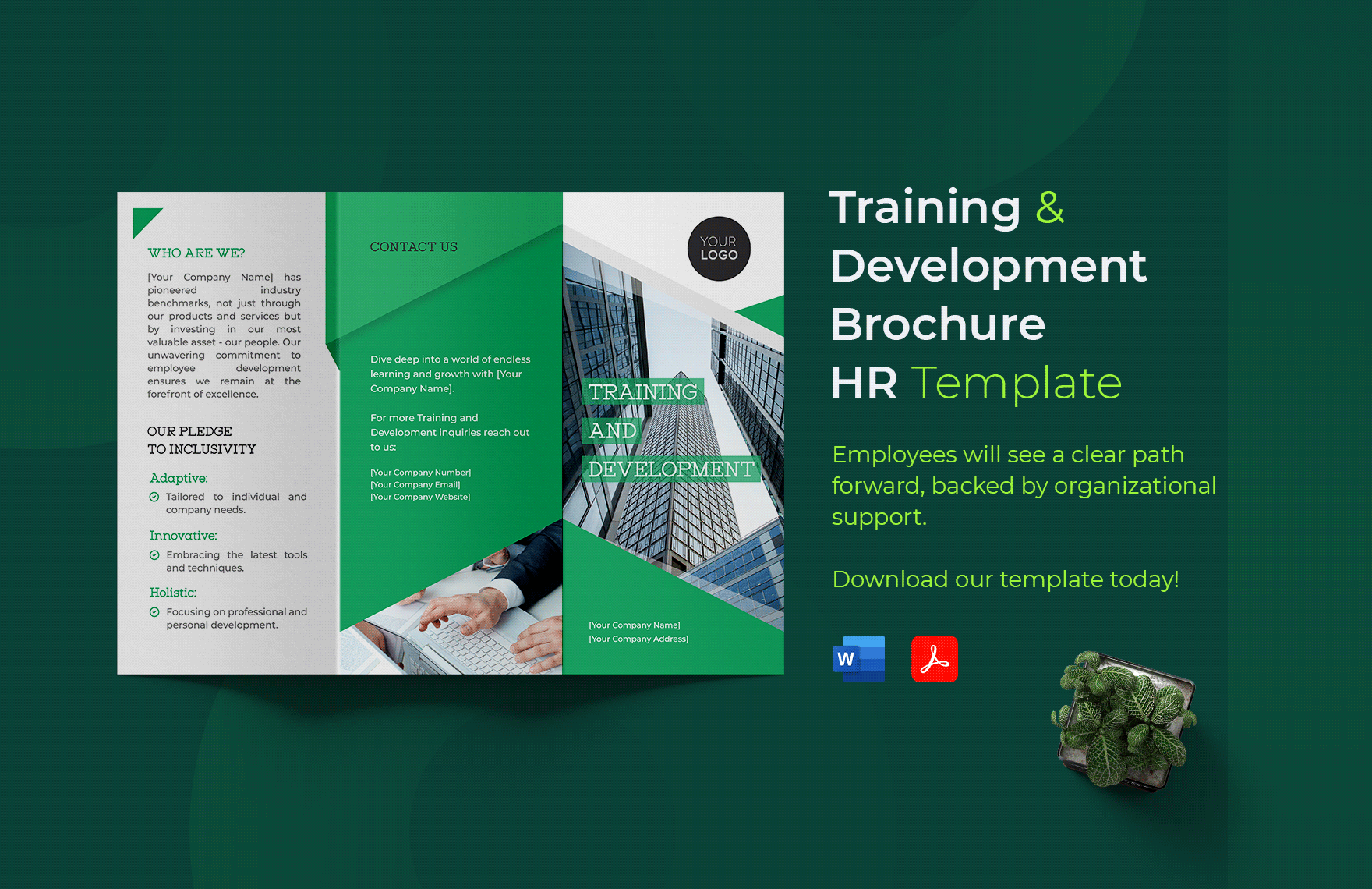 Training and Development Brochure HR Template