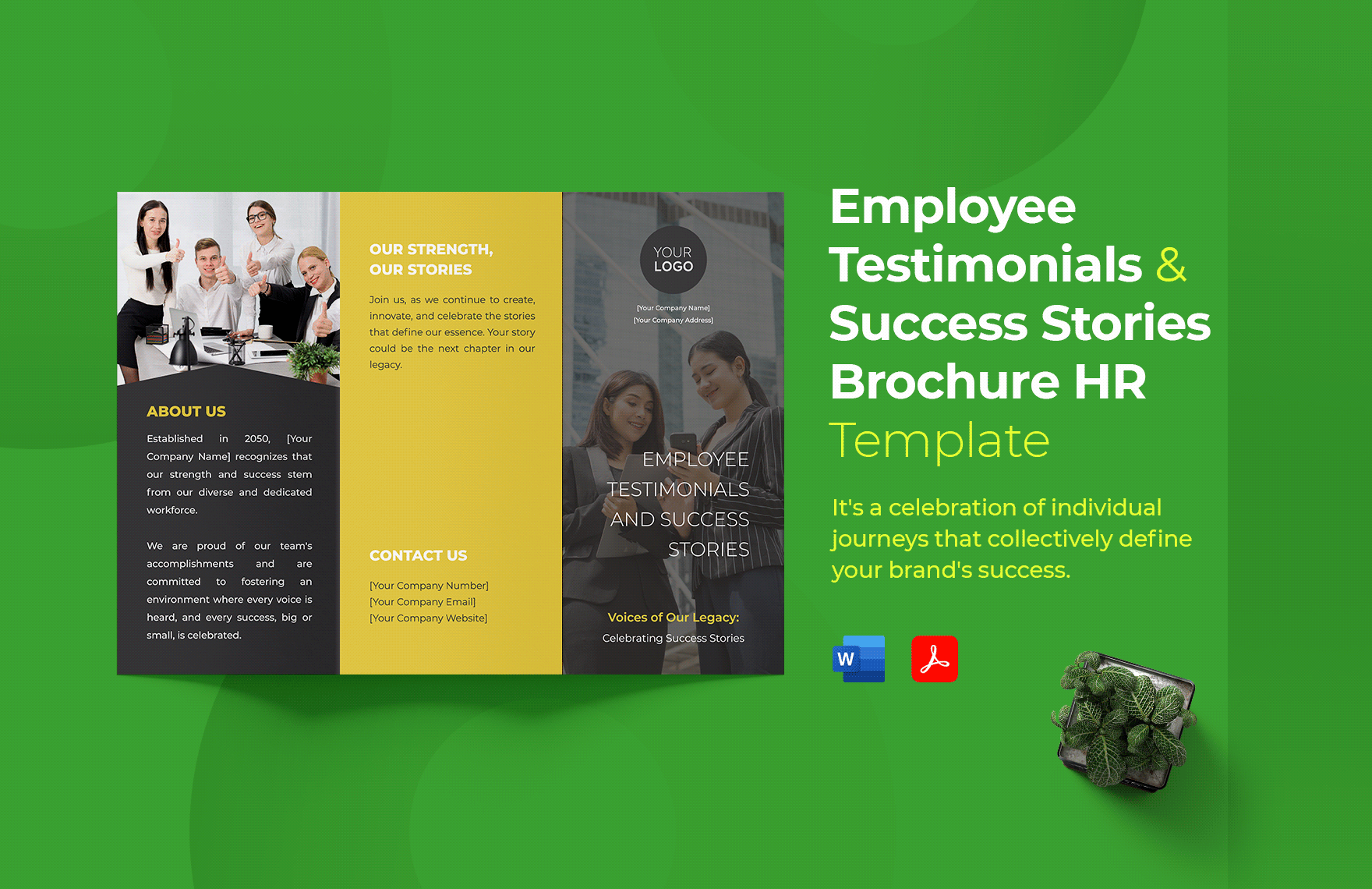 Employee Testimonials and Success Stories Brochure HR Template