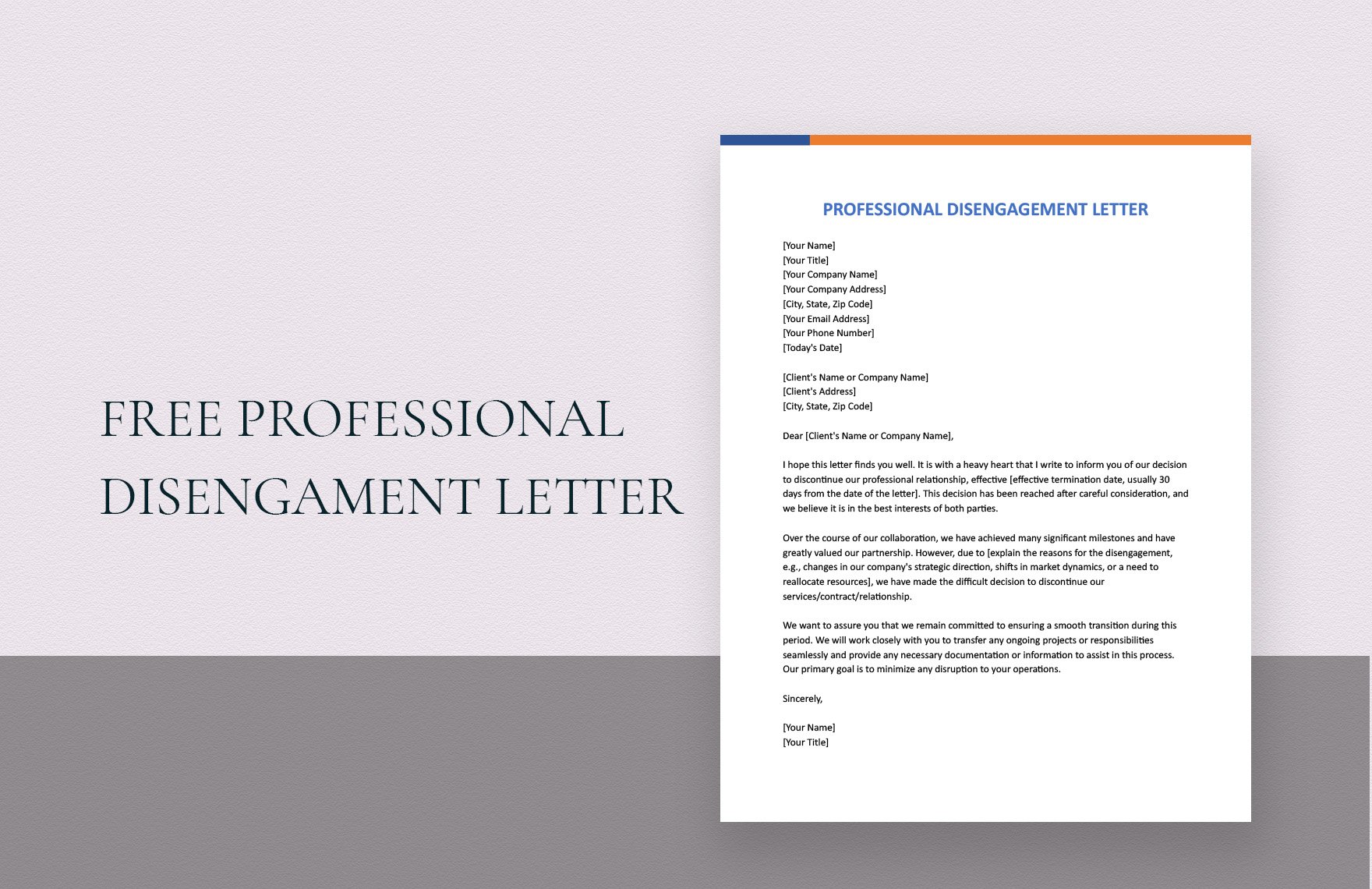 Professional Disengagement Letter in Word, Google Docs