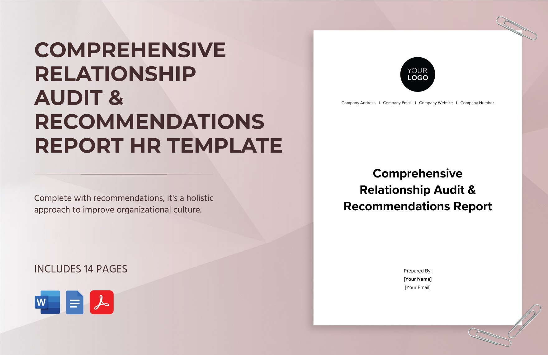 Comprehensive Relationship Audit & Recommendations Report HR Template