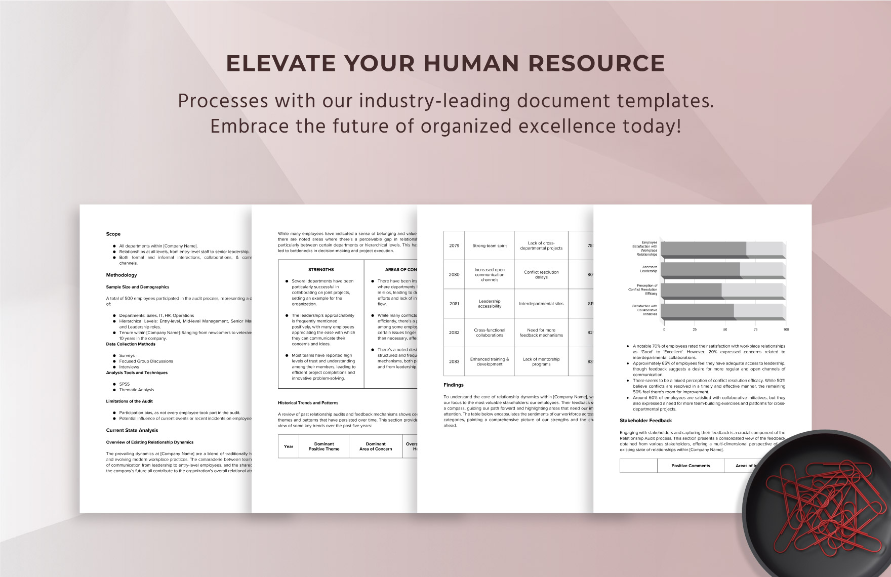 Comprehensive Relationship Audit & Recommendations Report HR Template