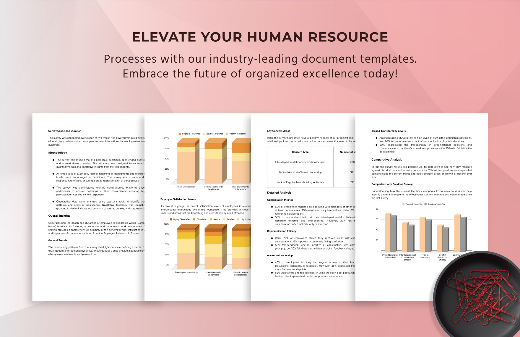 Employee Relationship Survey Insights & Analysis HR Template