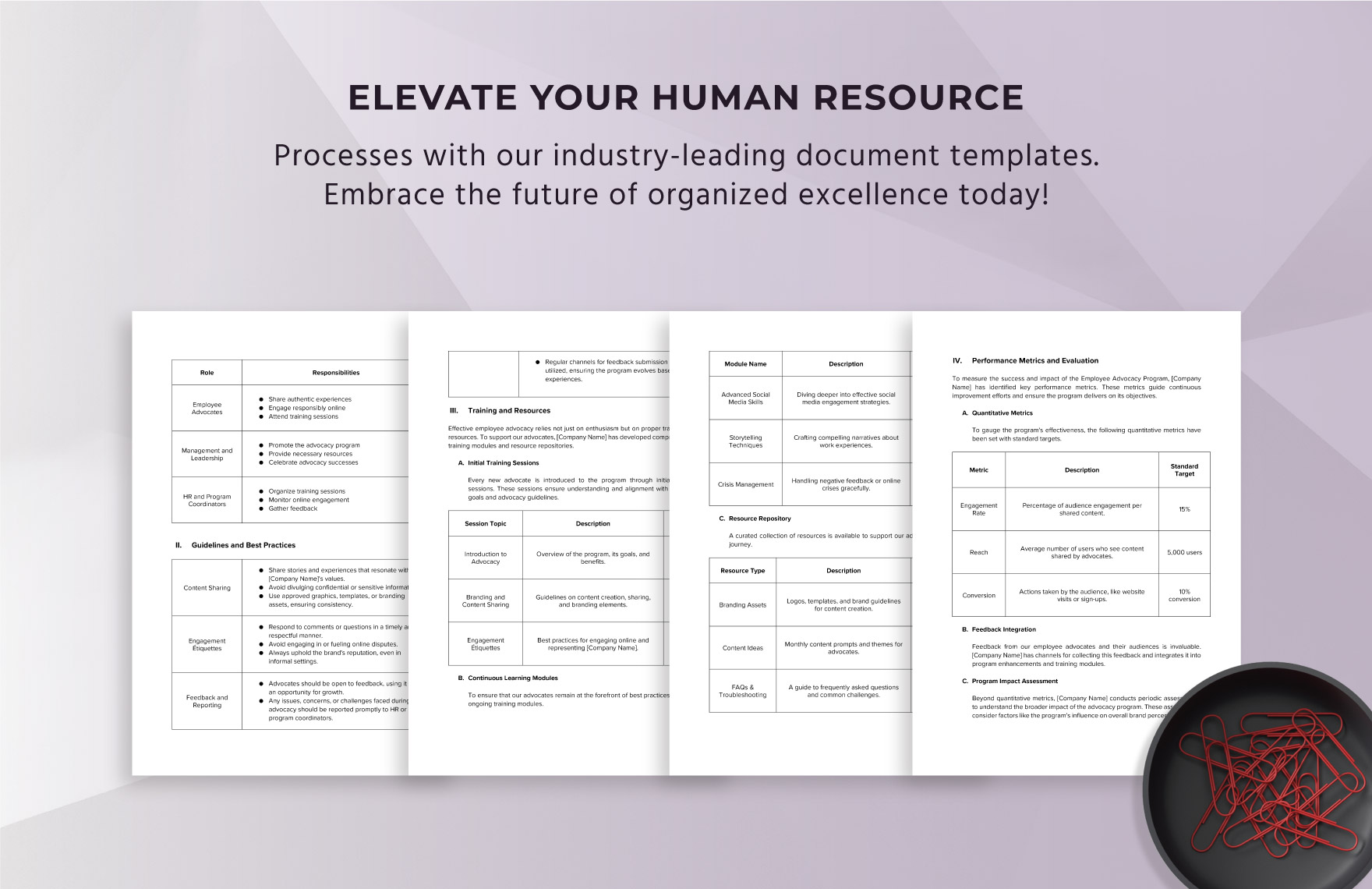Comprehensive Employee Advocacy Program Manual HR Template