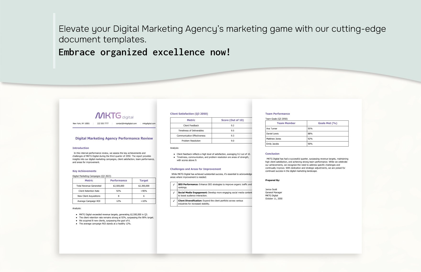Digital Marketing Agency Performance Review Template