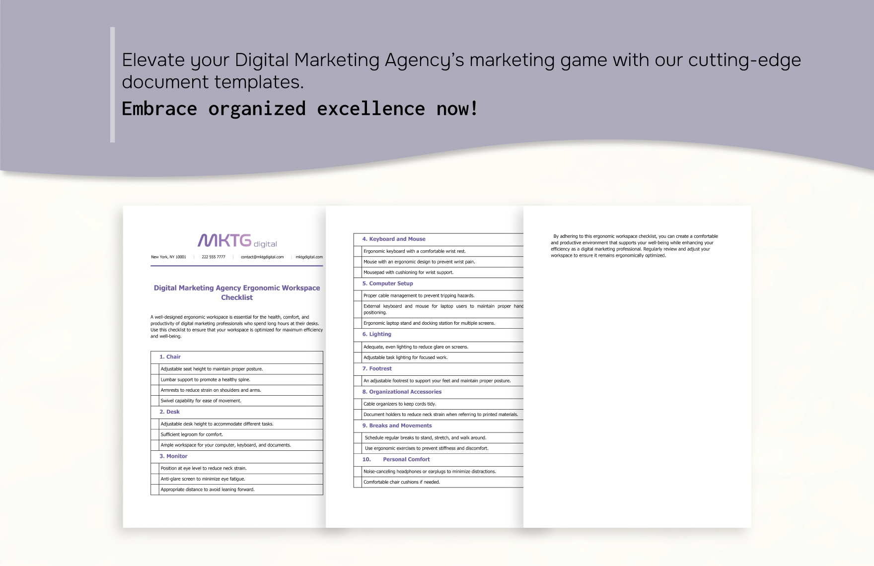 Digital Marketing Agency Ergonomic Workspace Checklist Template