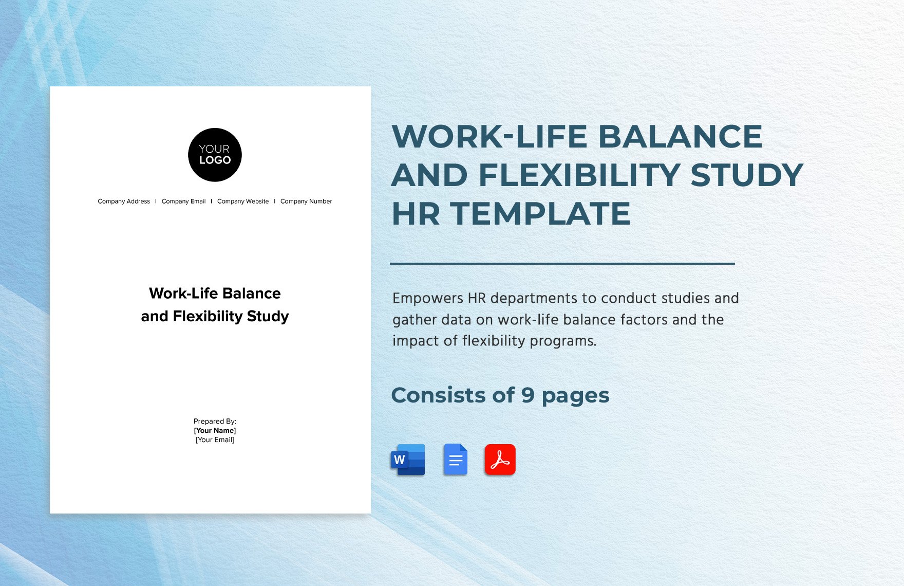 Work-life Balance and Flexibility Study HR Template