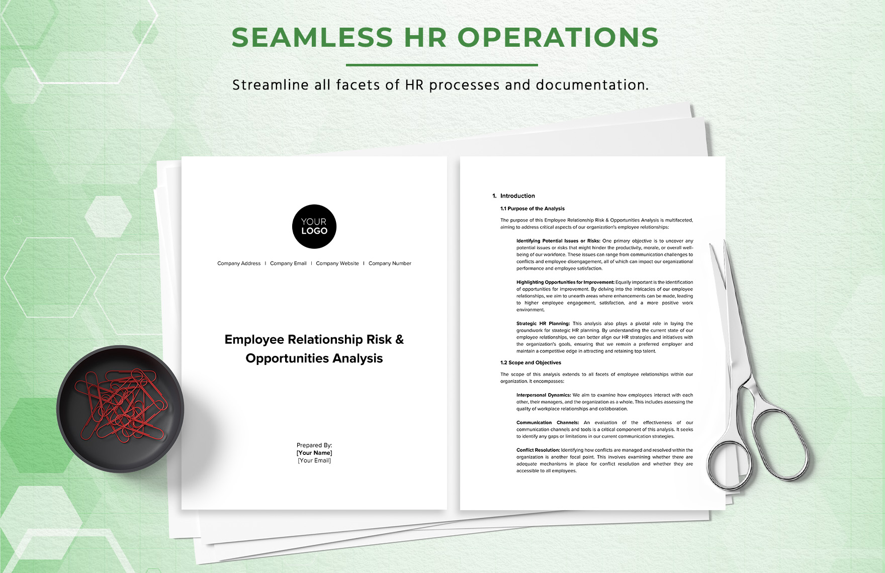 Employee Relationship Risk & Opportunities Analysis HR Template