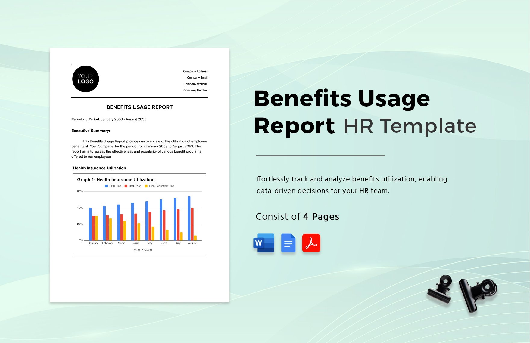 Benefits Usage Report HR Template