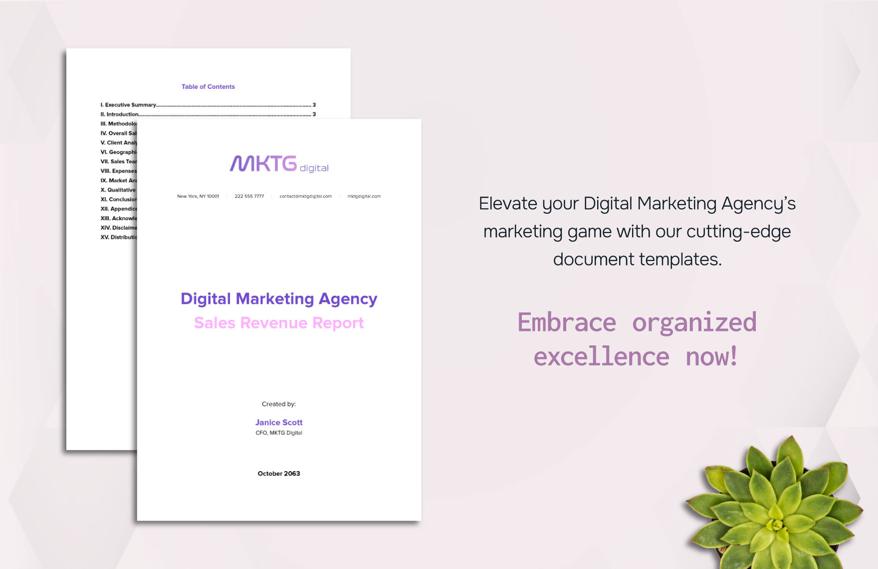 Digital Marketing Agency Sales Revenue Report Template
