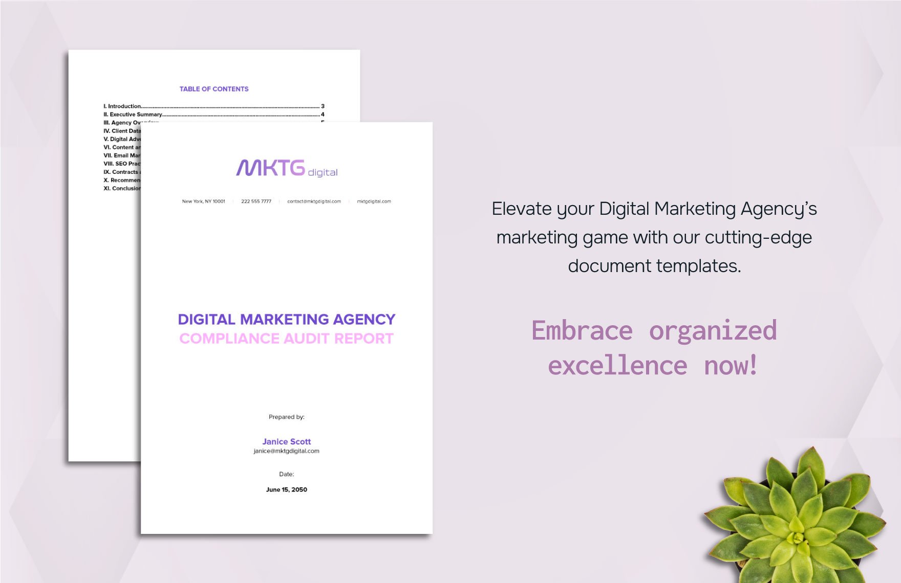 Digital Marketing Agency Compliance Audit Report Template