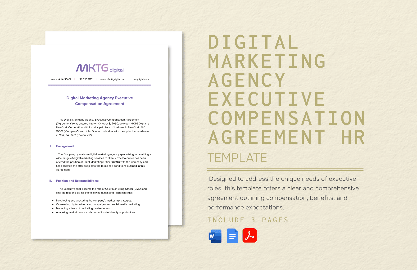 Digital Marketing Agency Executive Compensation Agreement HR Template