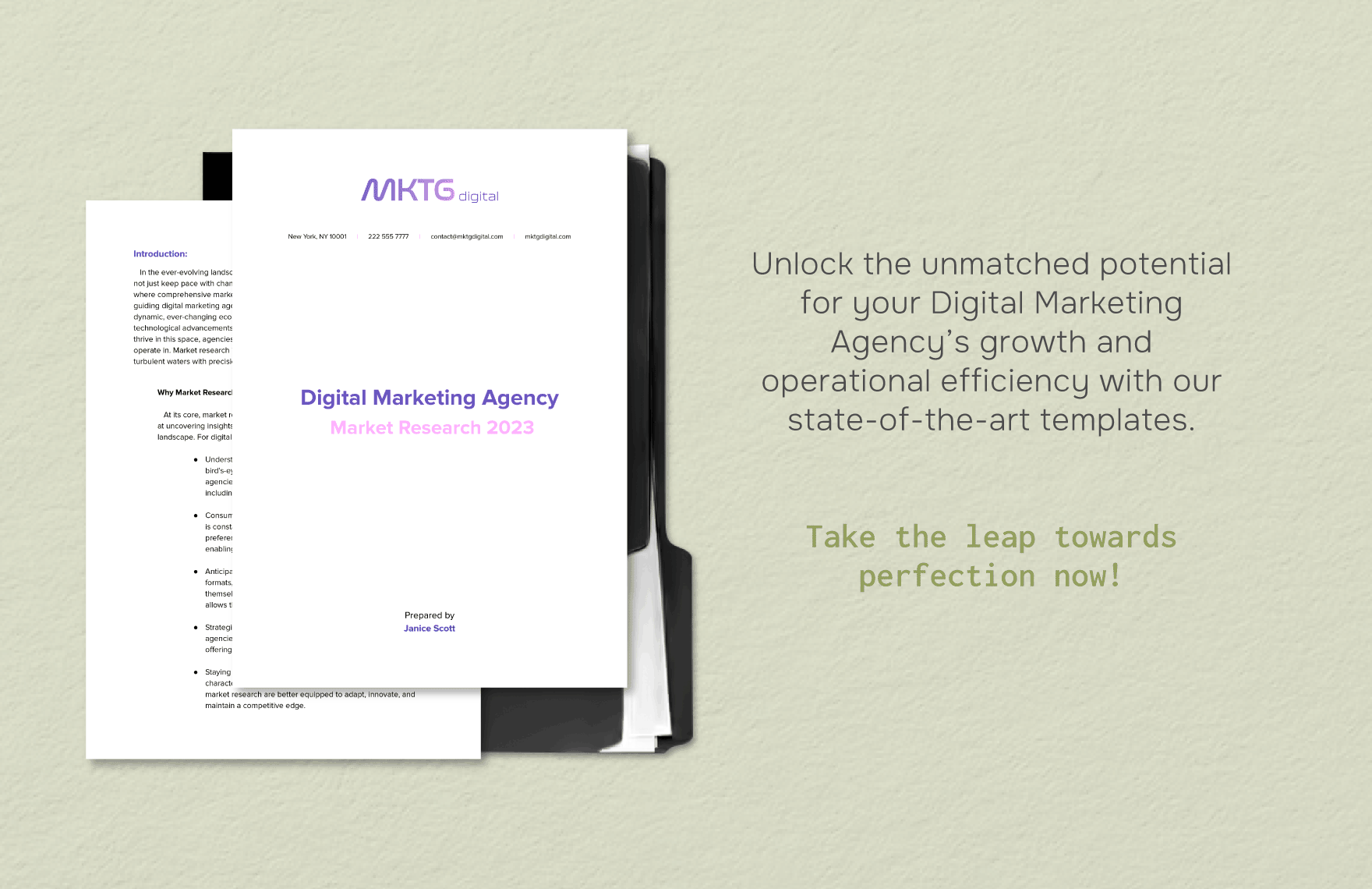 Digital Marketing Agency Market Research 2023 Template