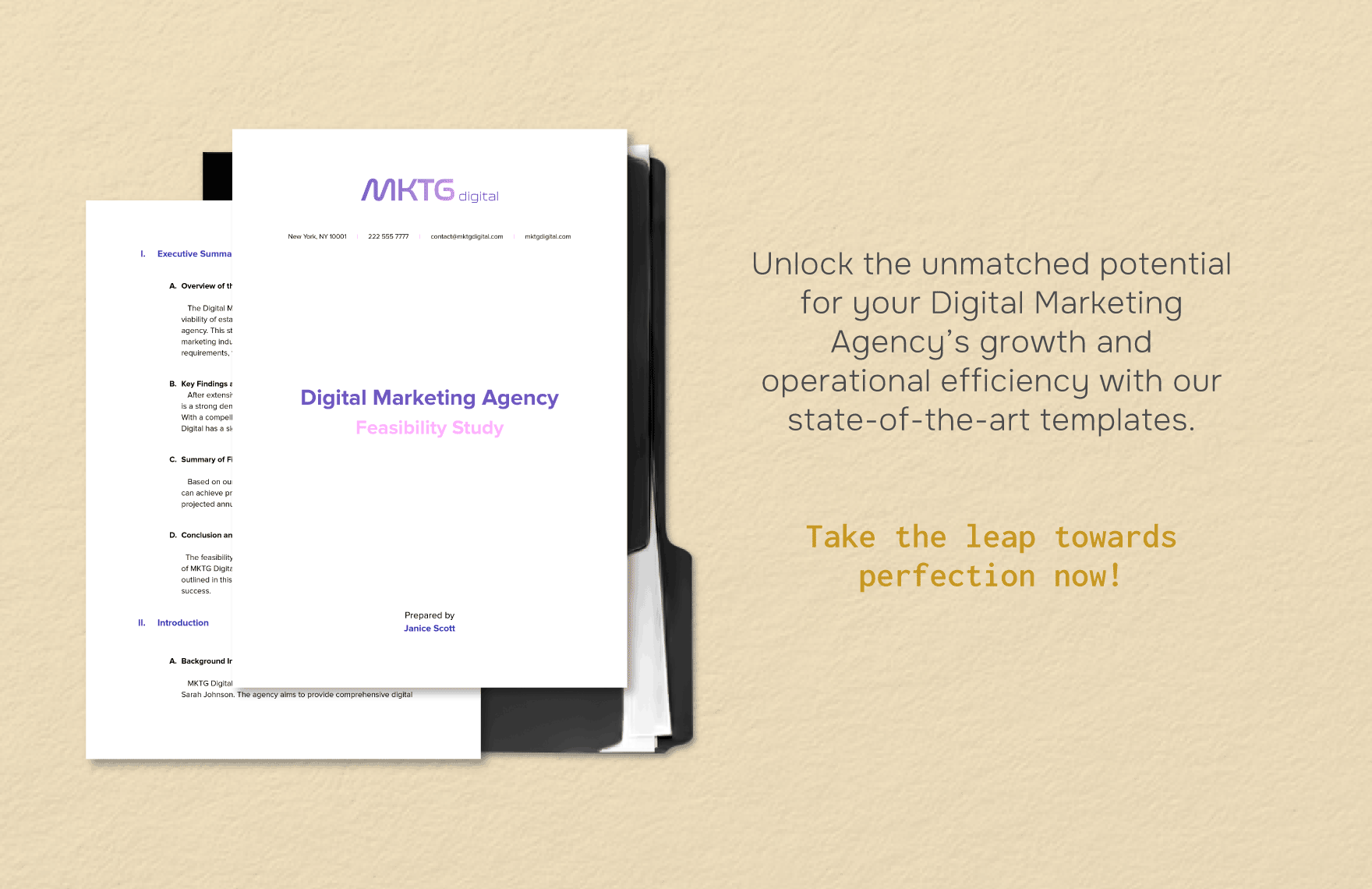 Digital Marketing Agency Feasibility Study Template