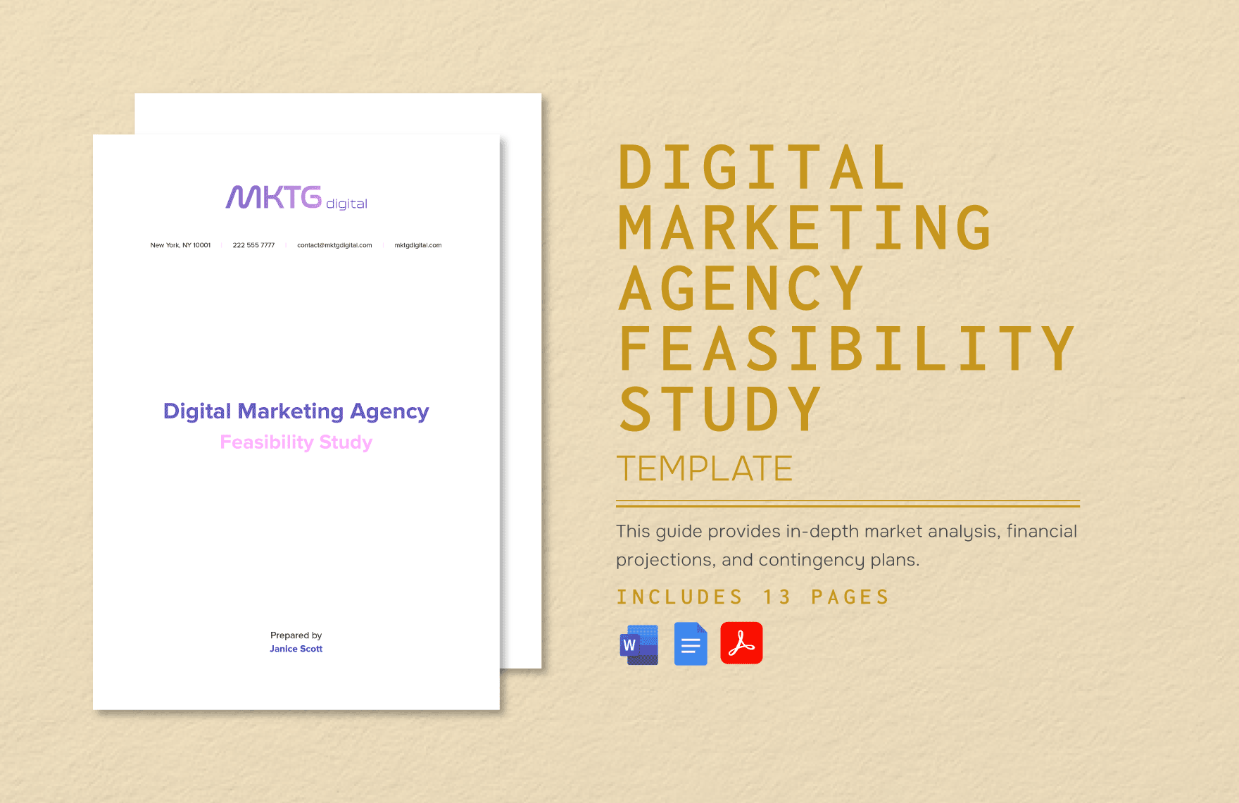 Digital Marketing Agency Feasibility Study Template