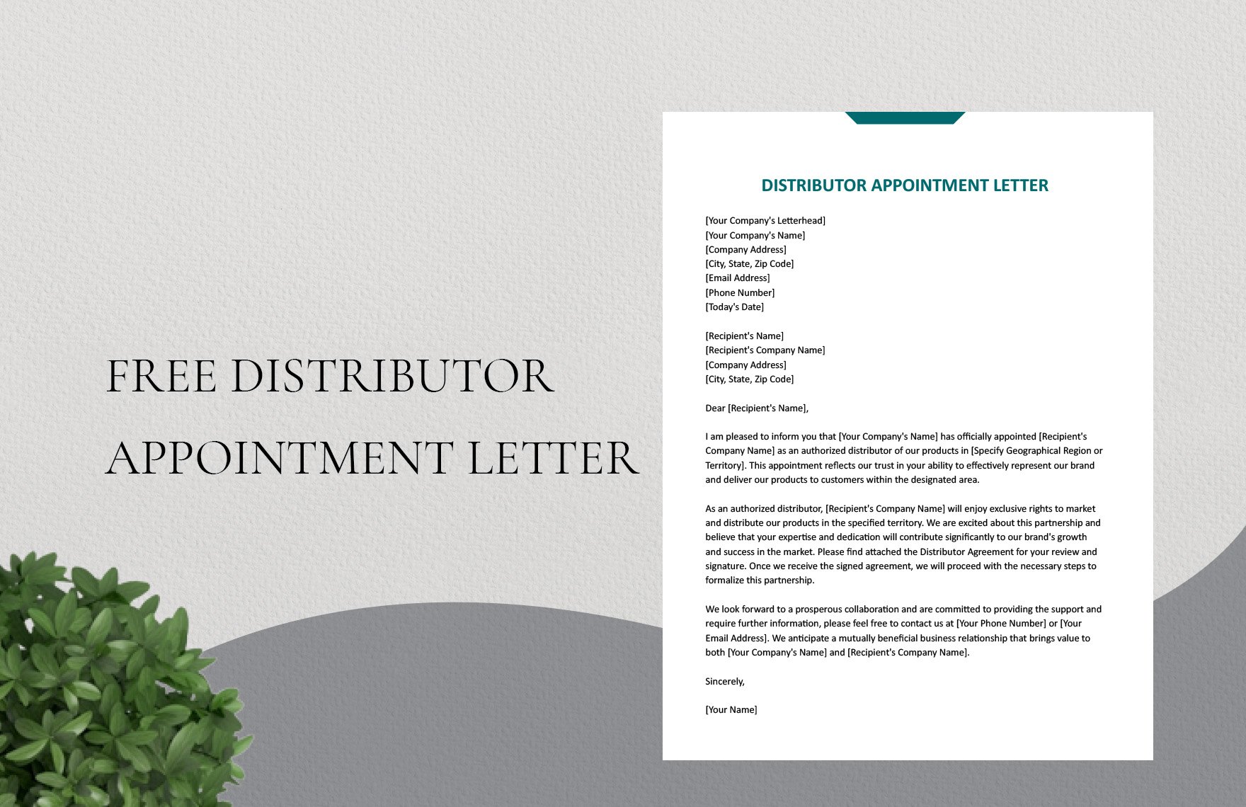 Distributor Appointment Letter