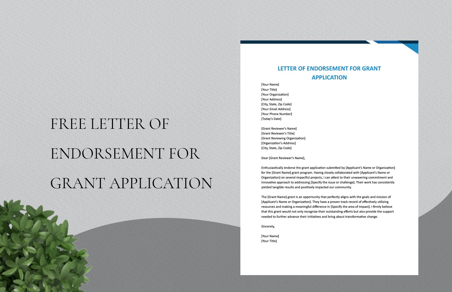 letter-of-endorsement-for-grant-application